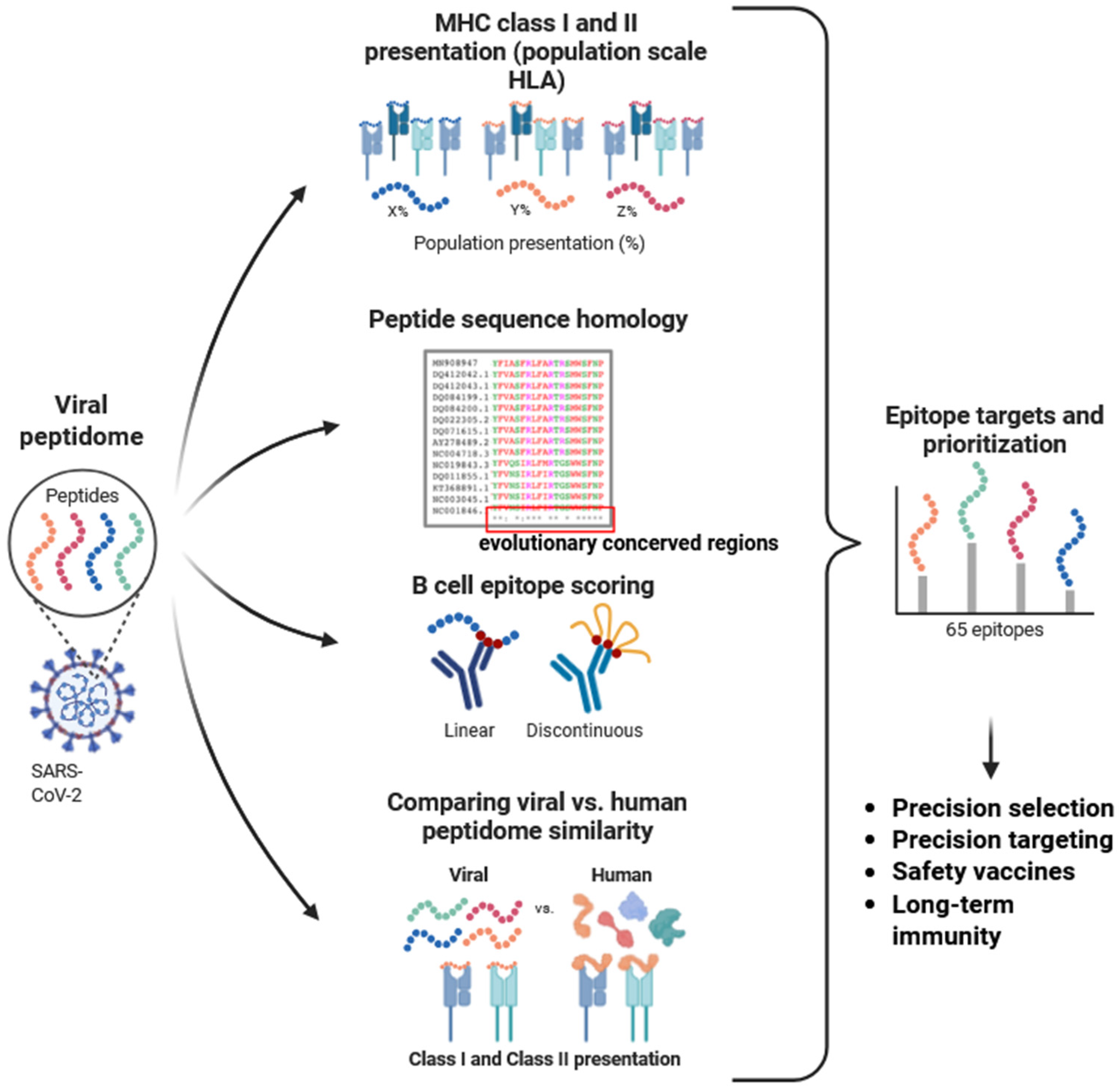Biologics 05 00021 g001