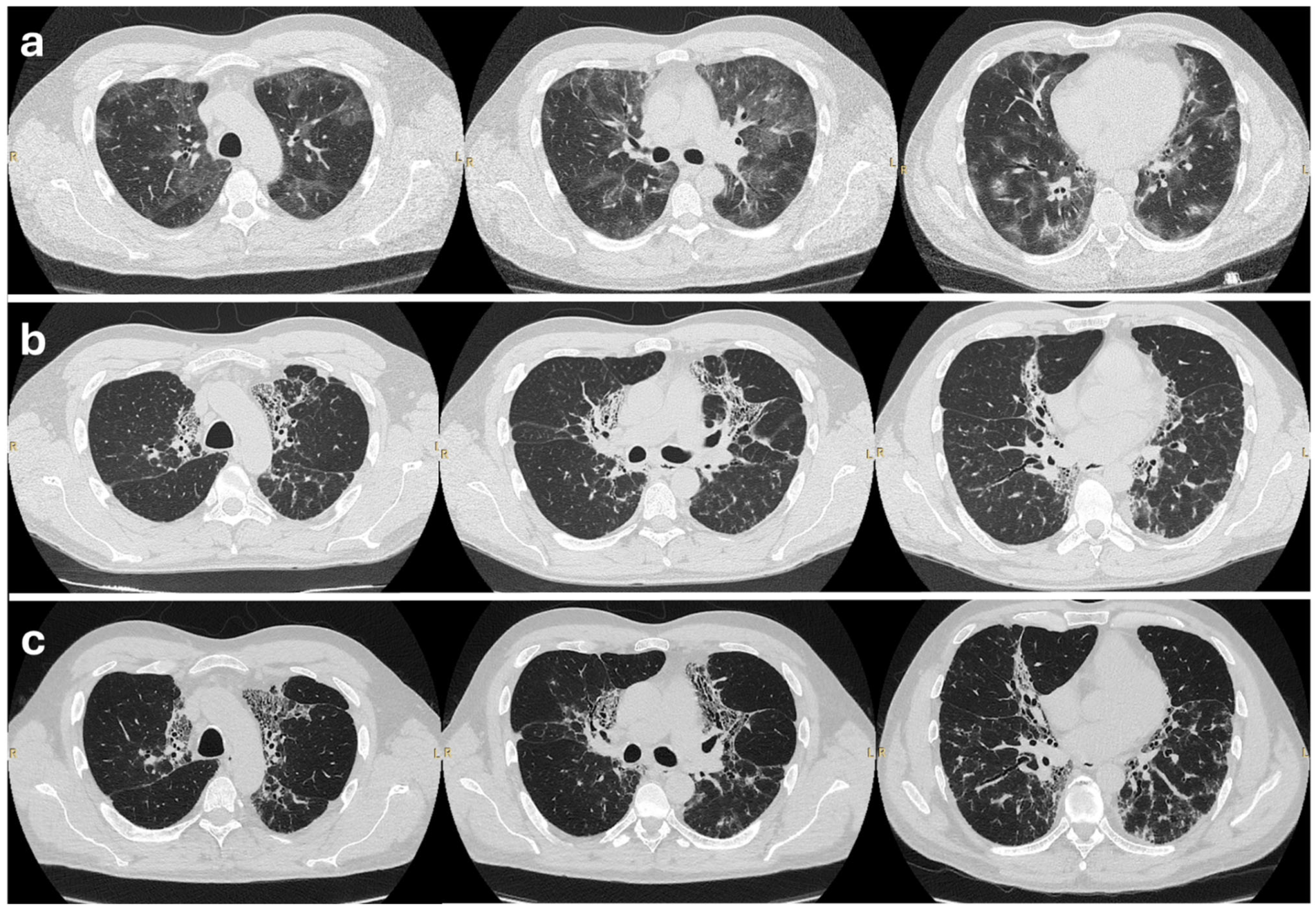 Biologics 05 00023 g001 Biologics 05 00023 g001