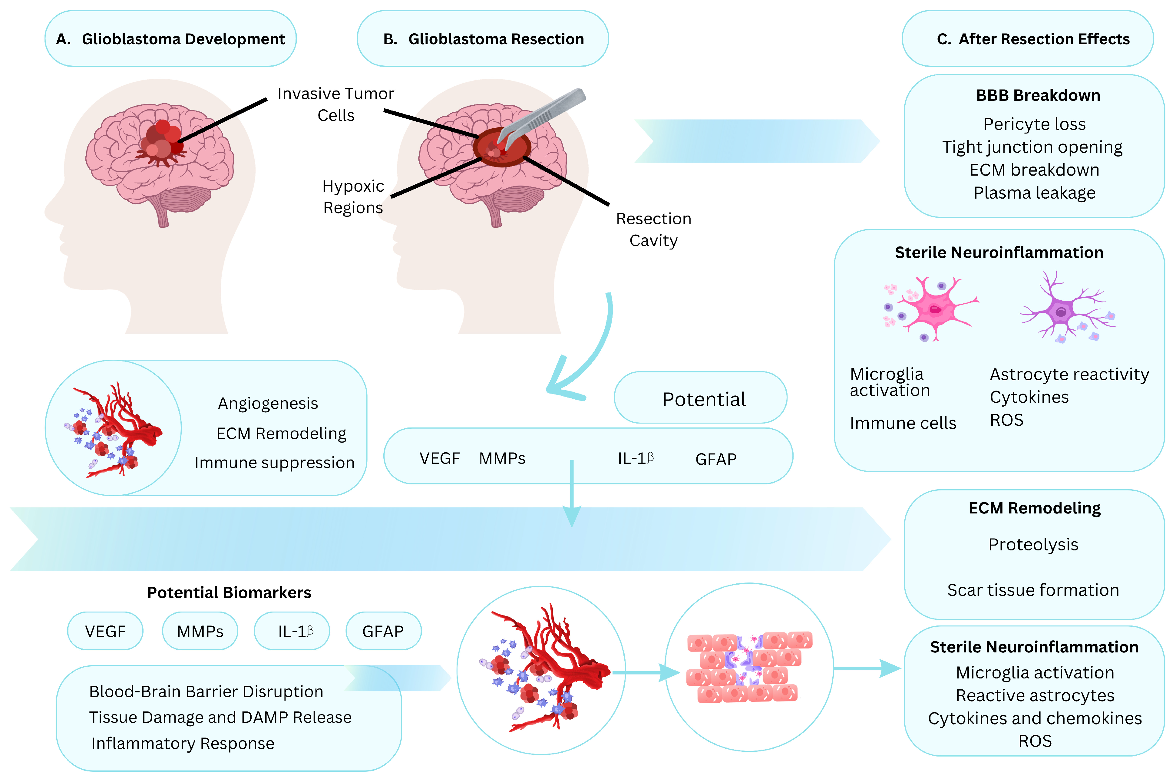 Biologics 06 00017 g001 Biologics 06 00017 g001