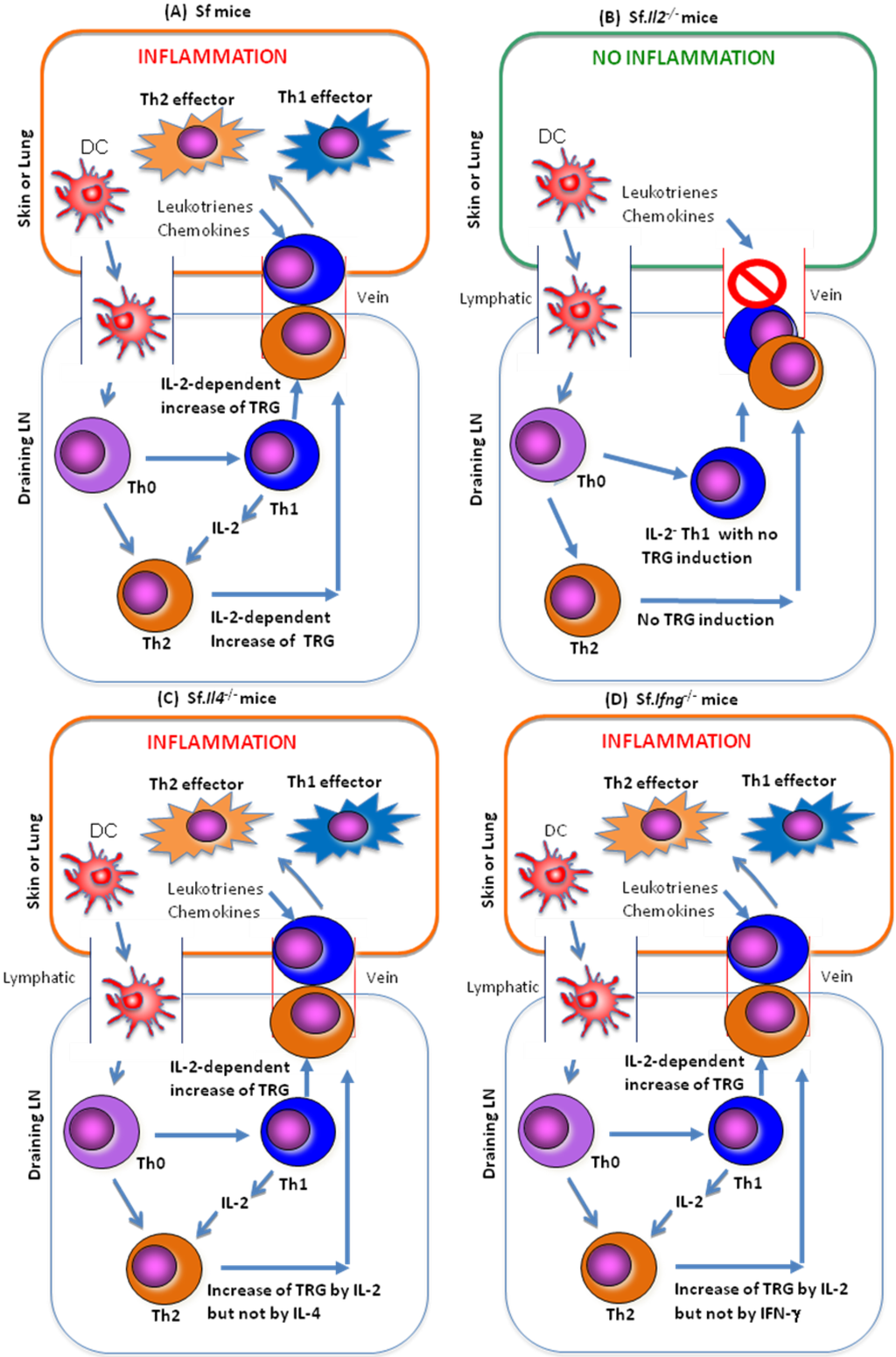 Biology 01 00018 g001 1024
