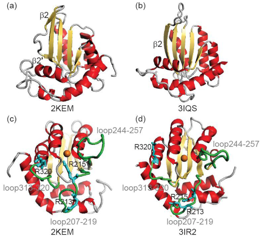 Biology 01 00245 g001 1024