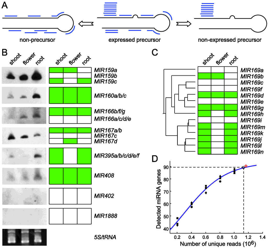 Biology 01 00297 g003 1024