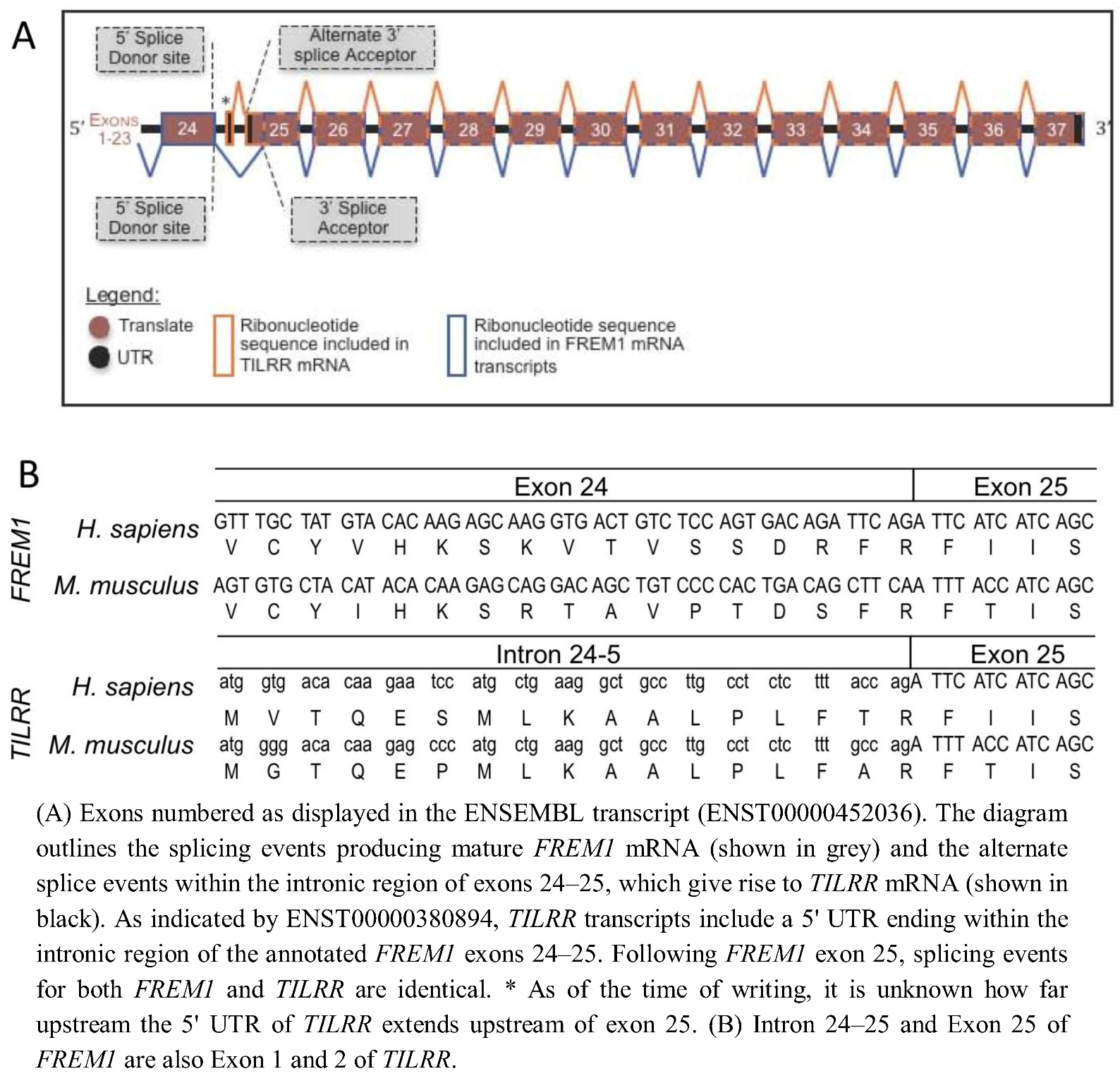 Biology 01 00484 g001