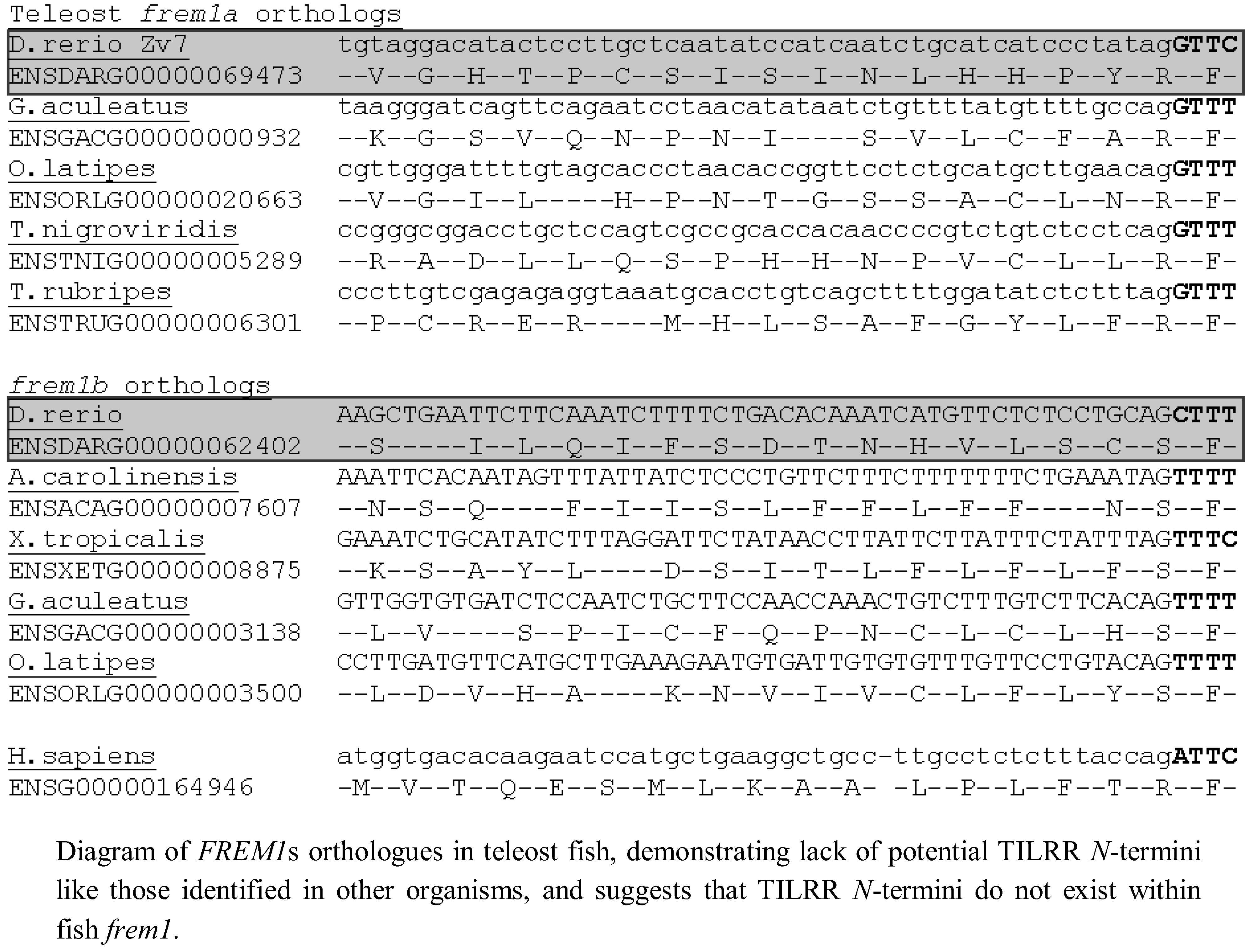 Biology 01 00484 g004