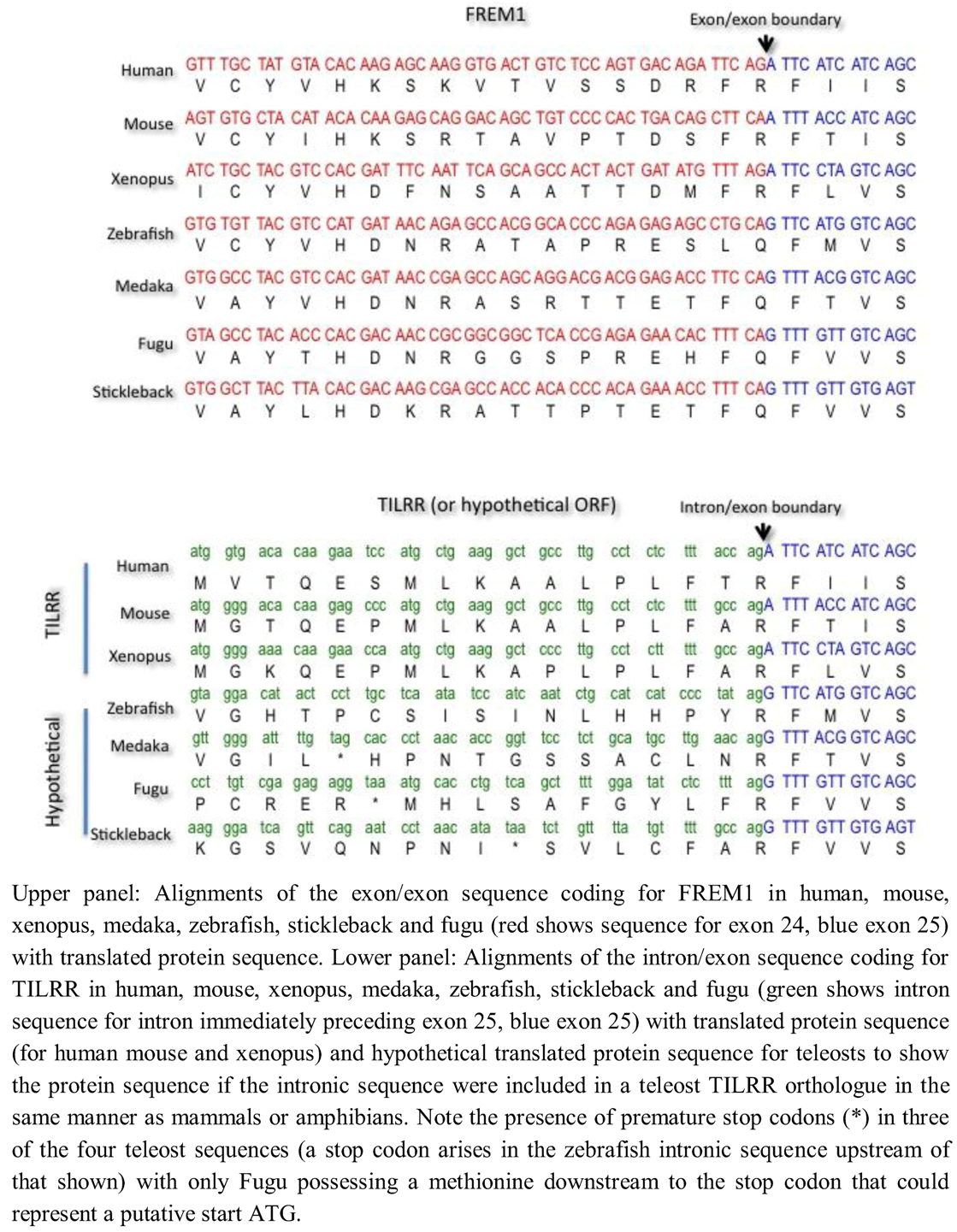 Biology 01 00484 g005