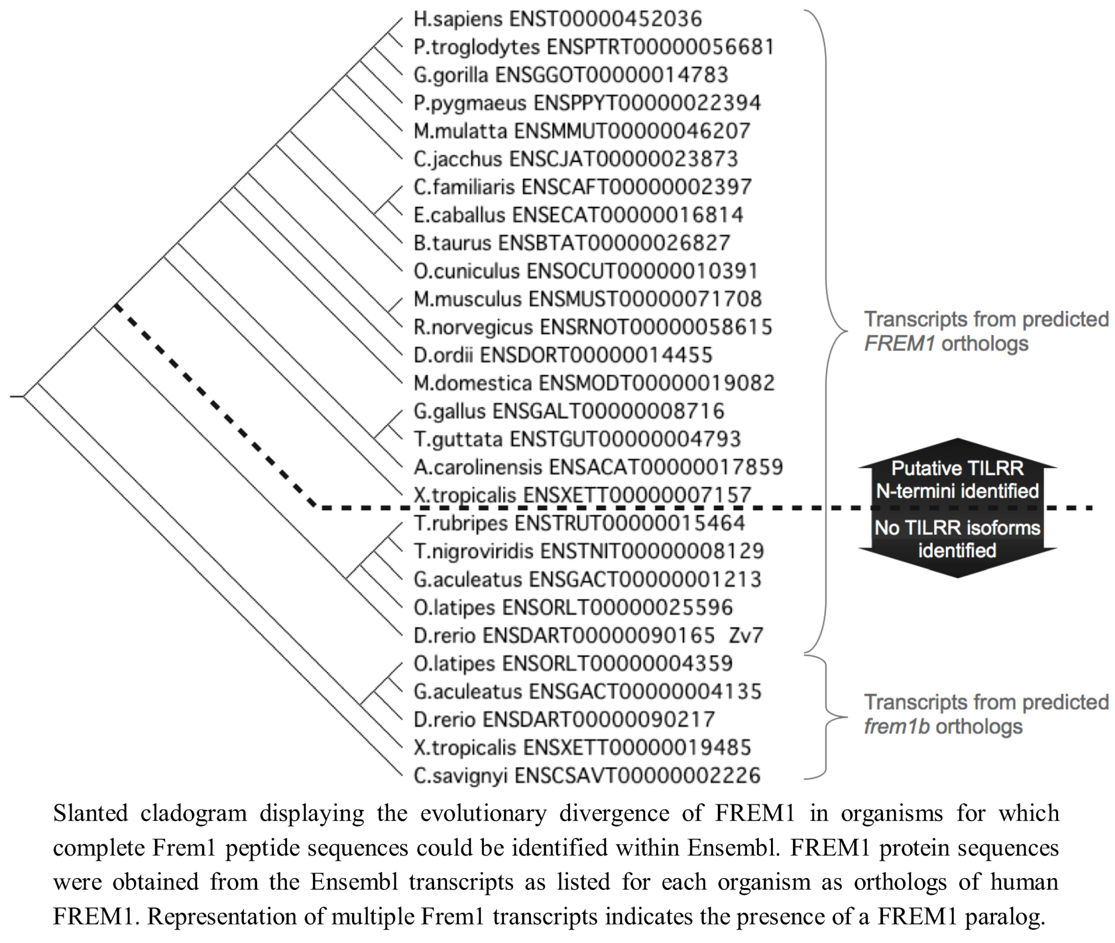 Biology 01 00484 g006