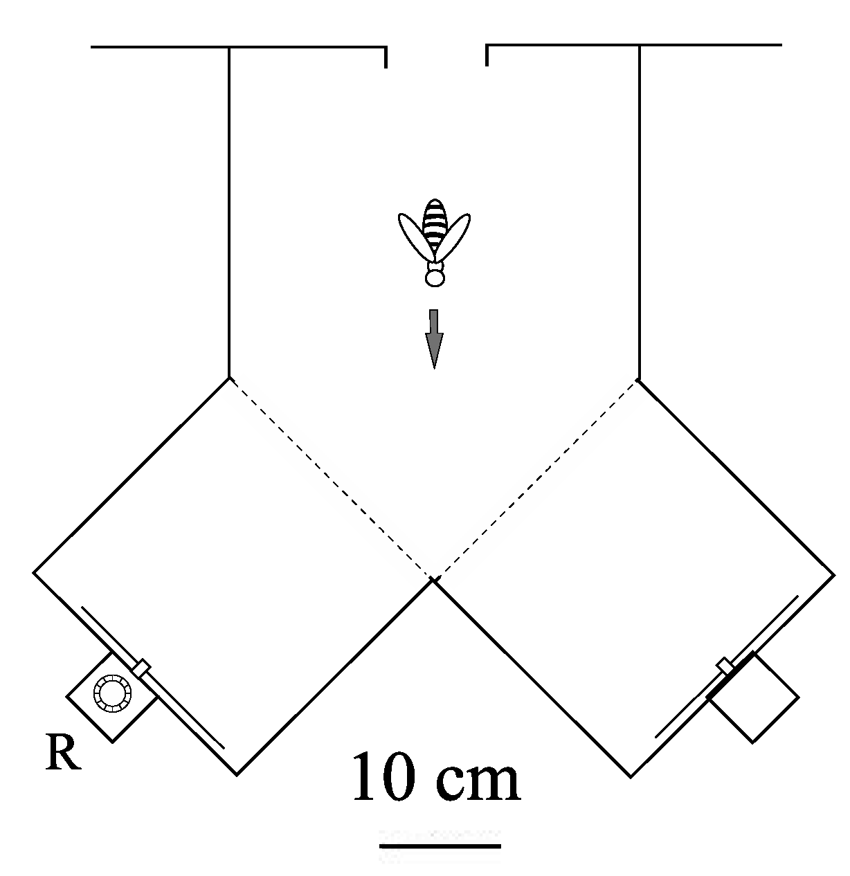 Biology 01 00508 g003