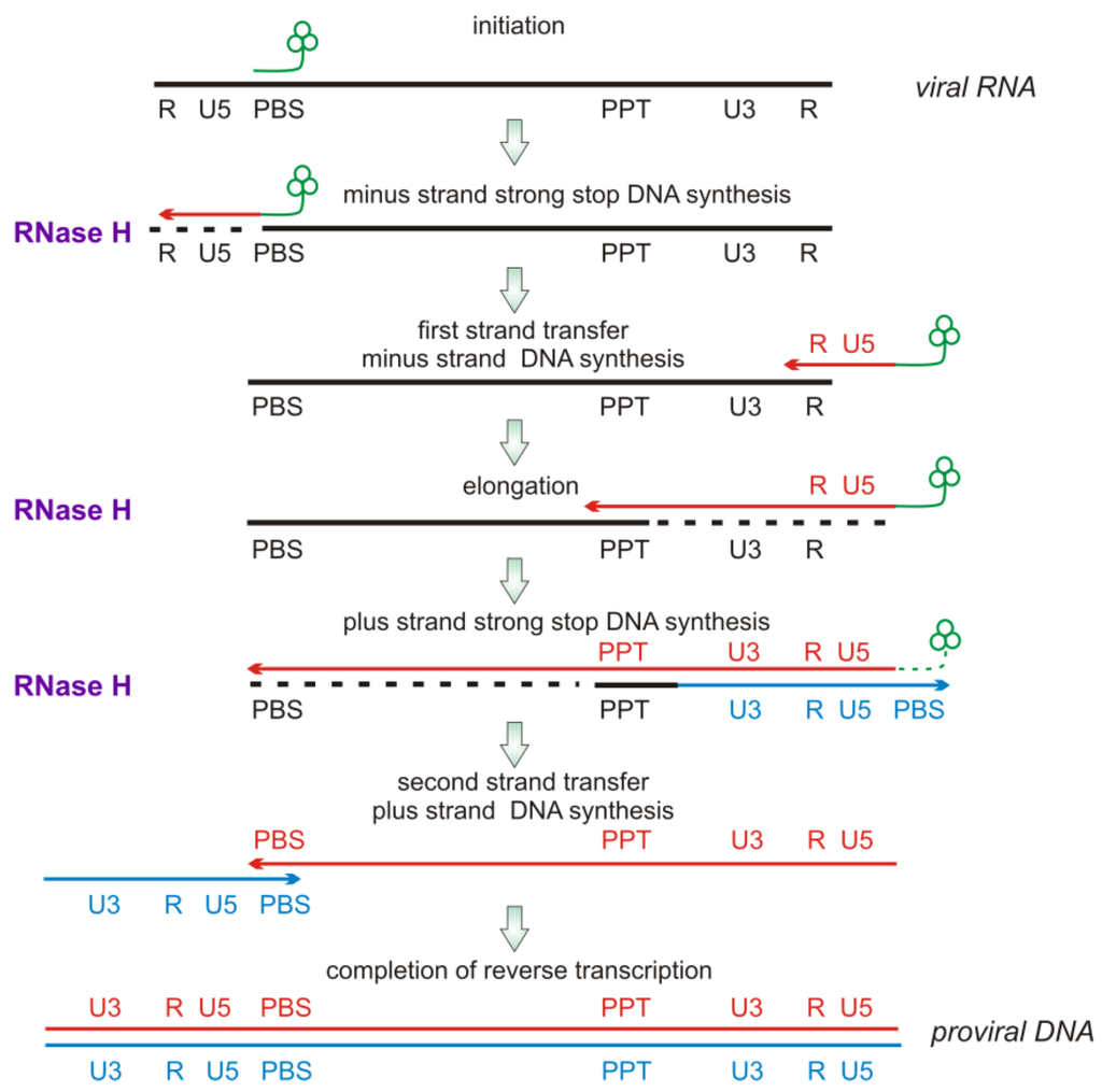Biology 01 00521 g004 1024
