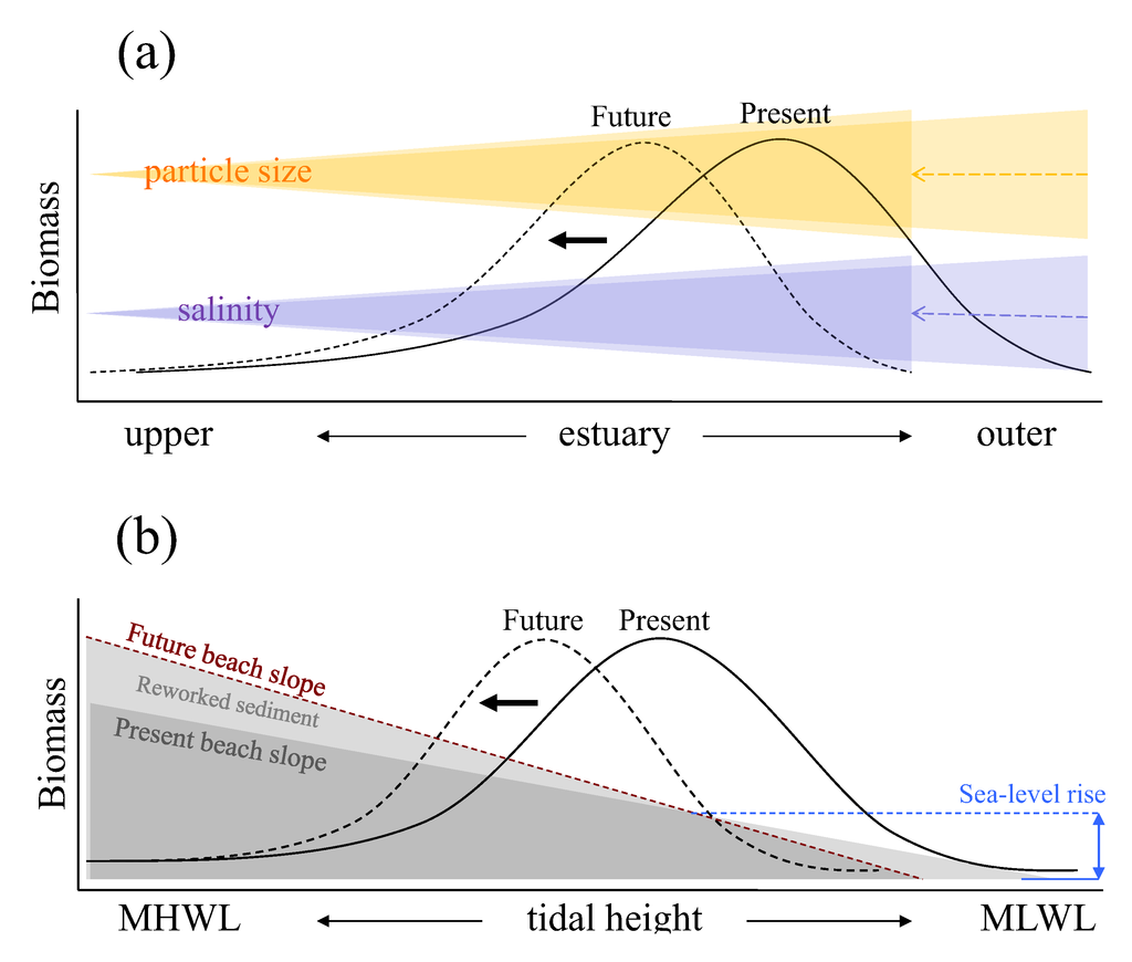 Biology 01 00597 g002 1024