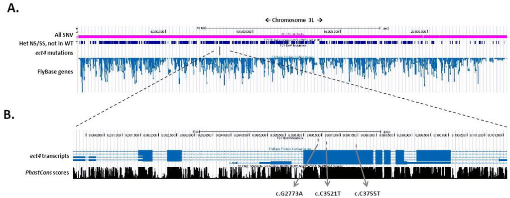 Biology 01 00766 g003 1024