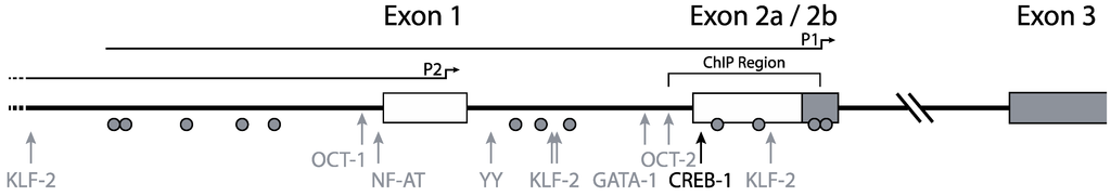 Biology 01 00869 g001 1024