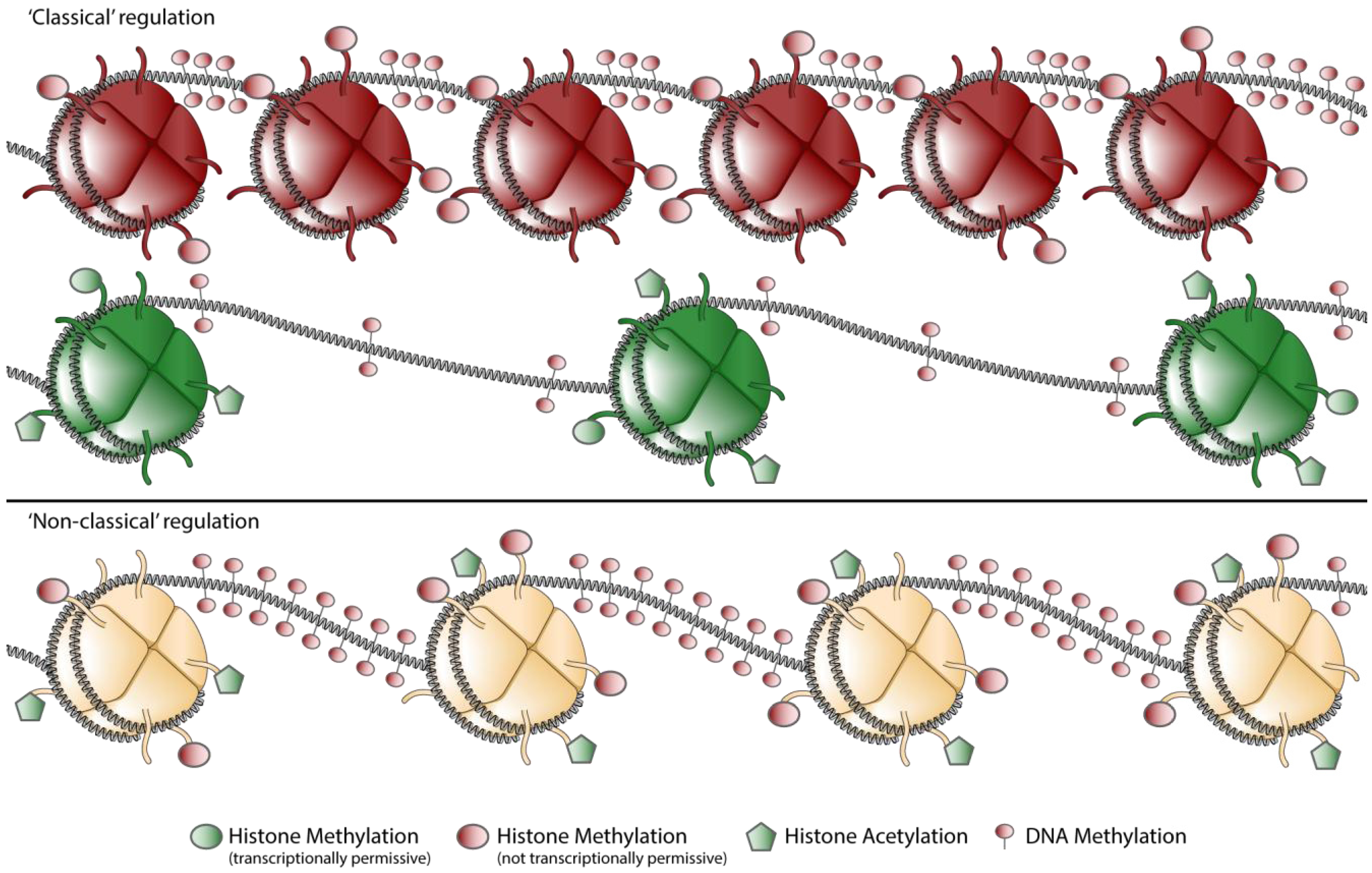 Biology 01 00869 g002