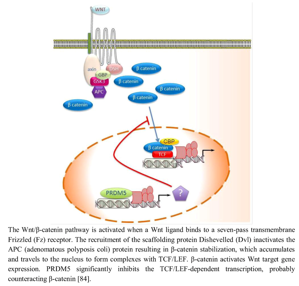 Biology 02 00107 g003 1024