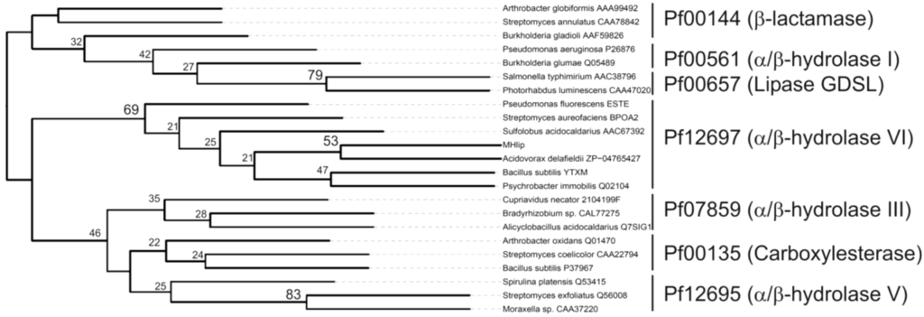 Biology 02 00177 g001 1024