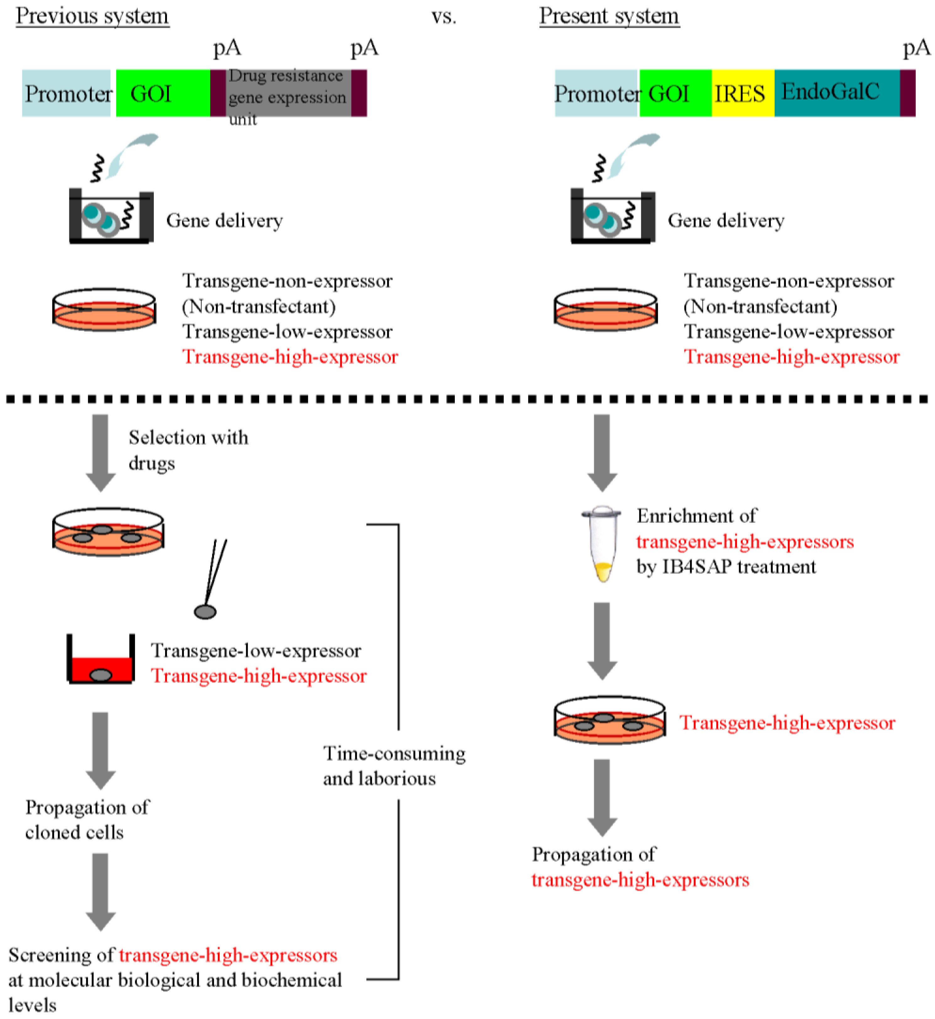 Biology 02 00341 g005