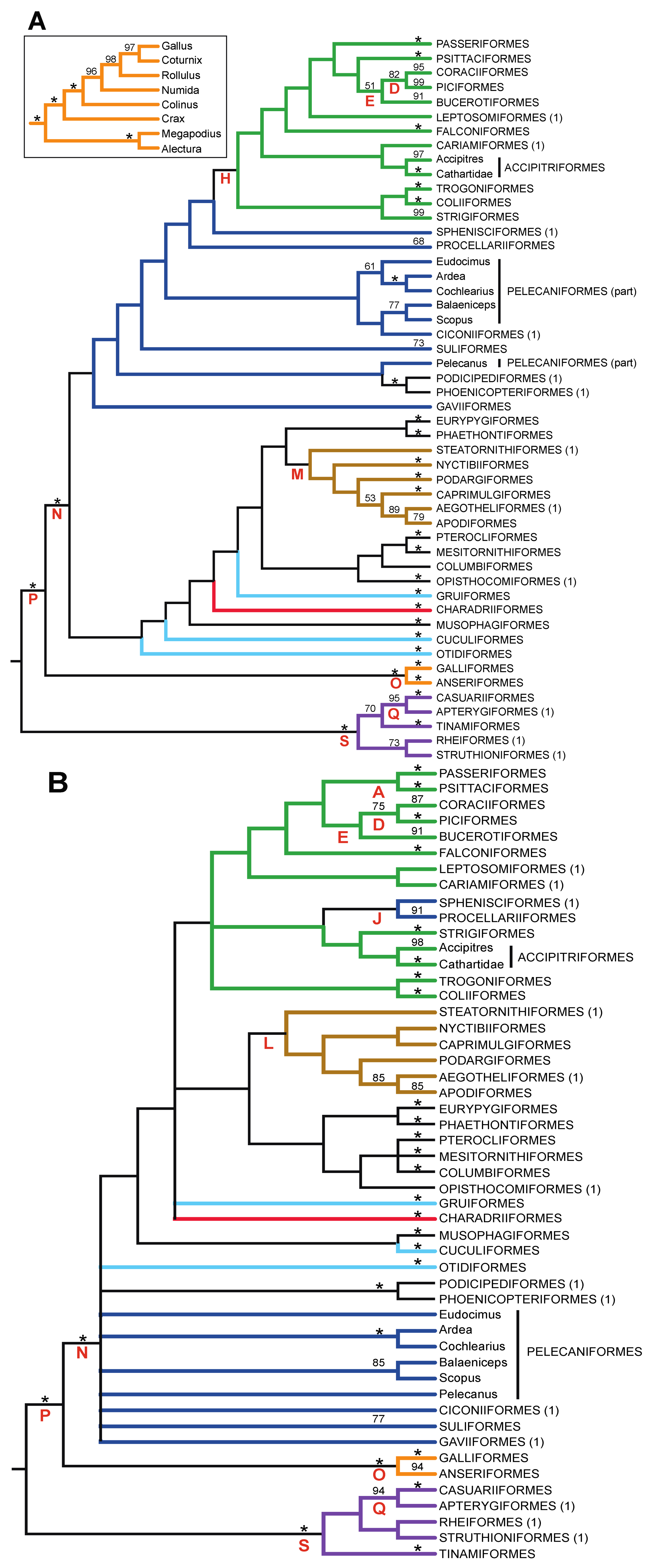 Biology 02 00419 g003