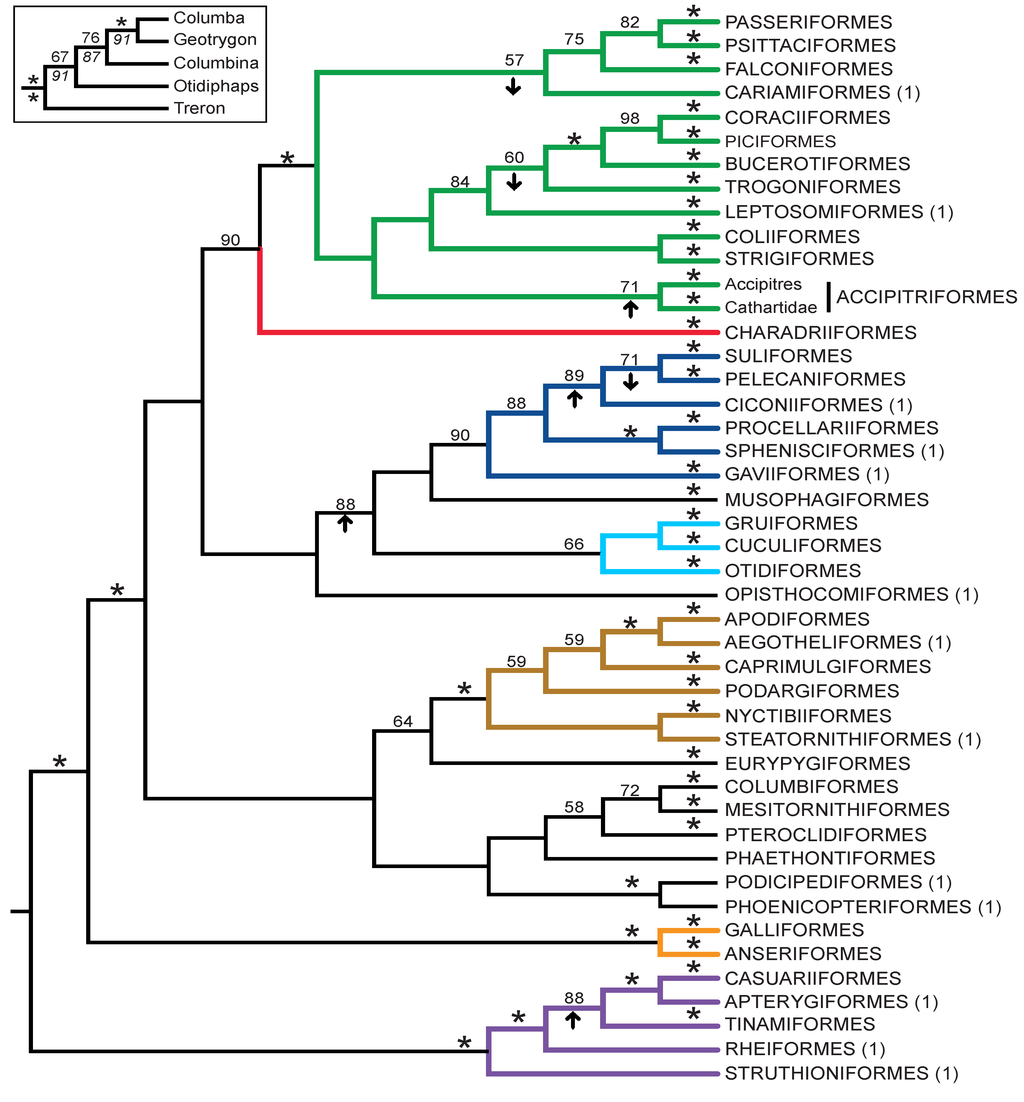 Biology 02 00419 g006 1024