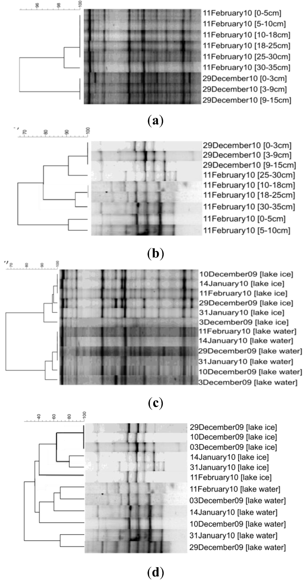 Biology 02 00514 g003 1024