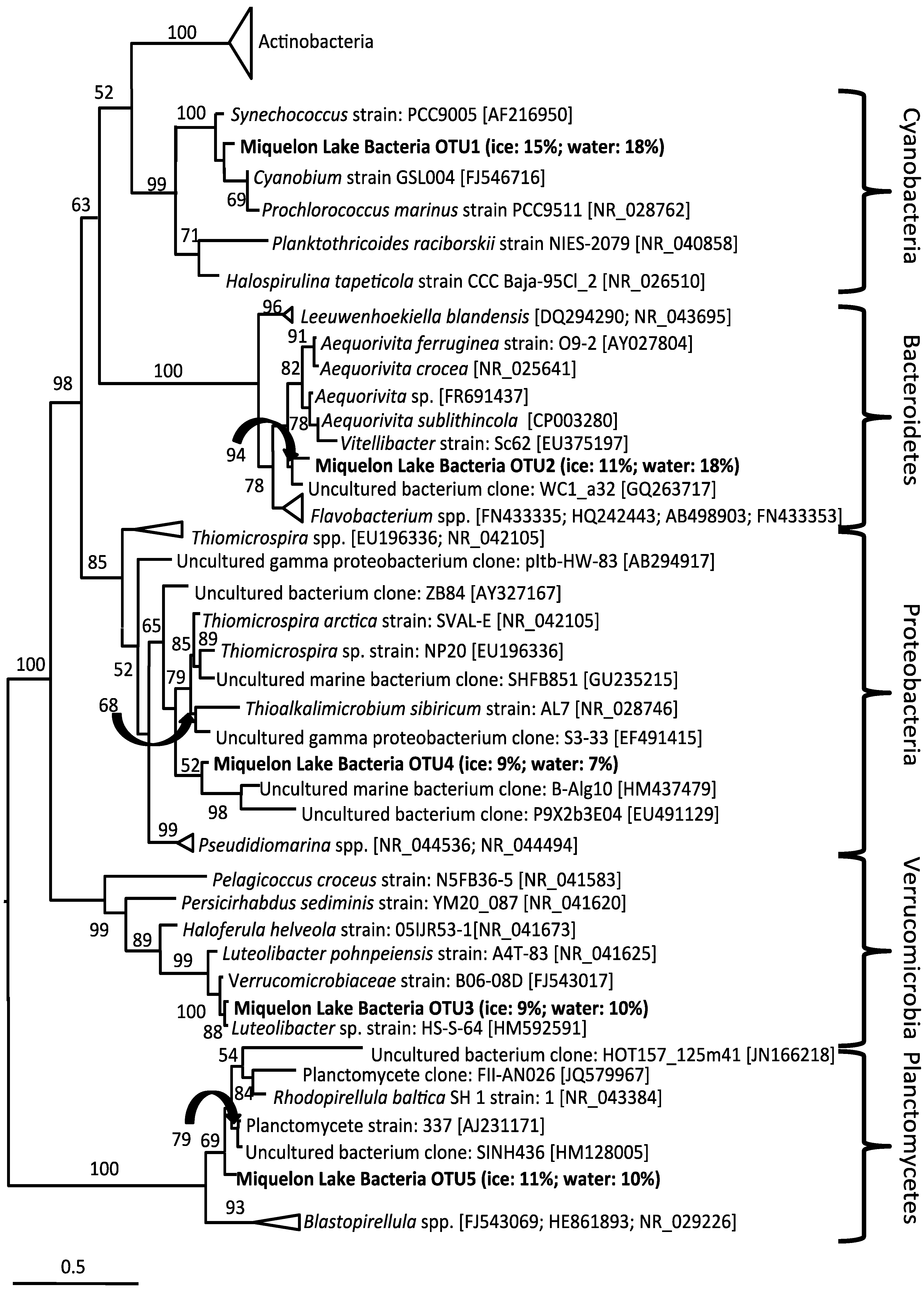 Biology 02 00514 g007