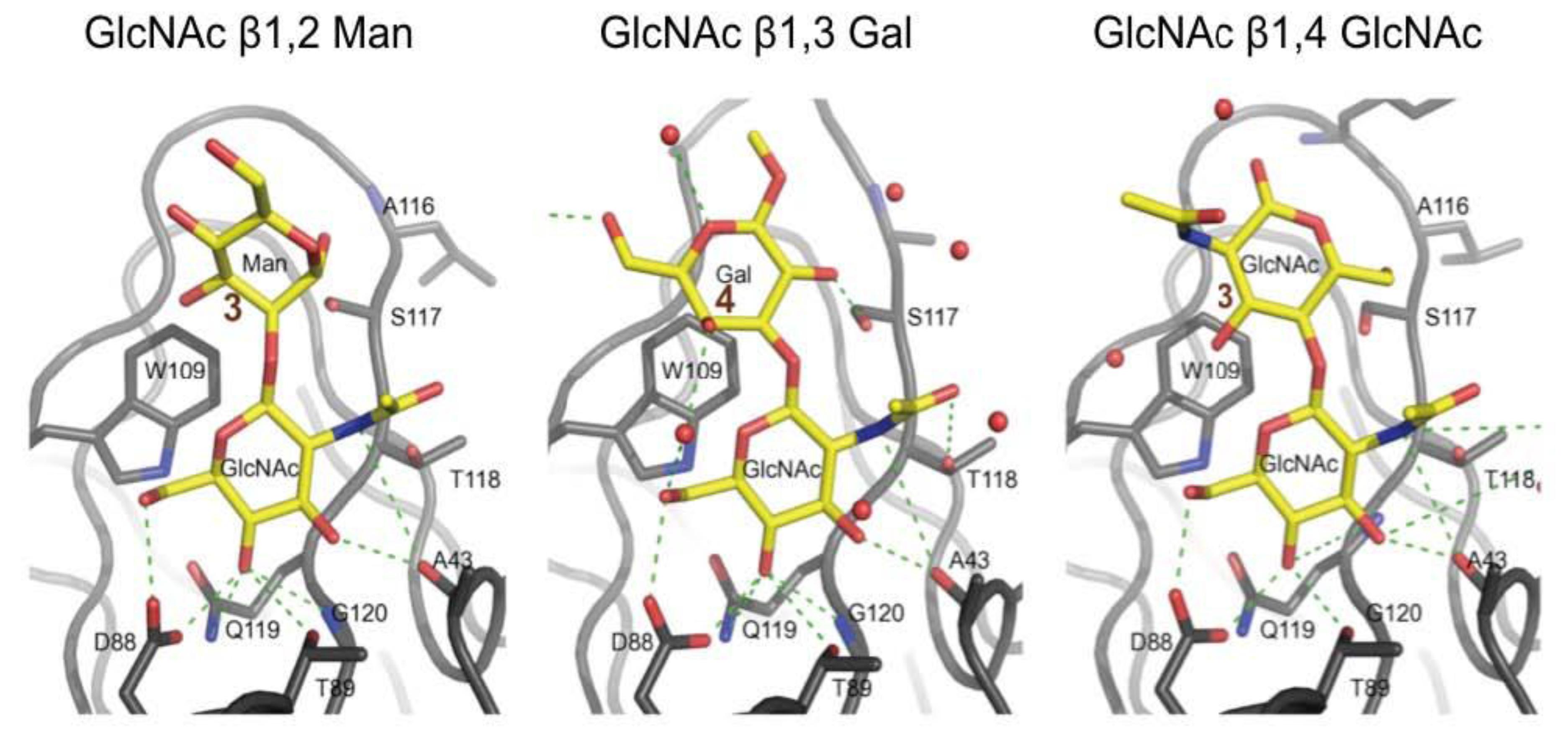 Biology 02 00894 g003