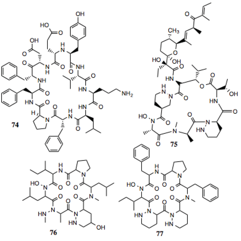 Biology 03 00101 g009 1024