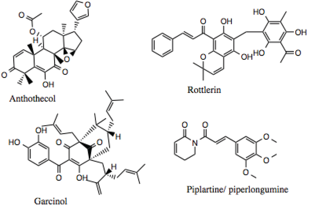 Biology 03 00101 g012 1024