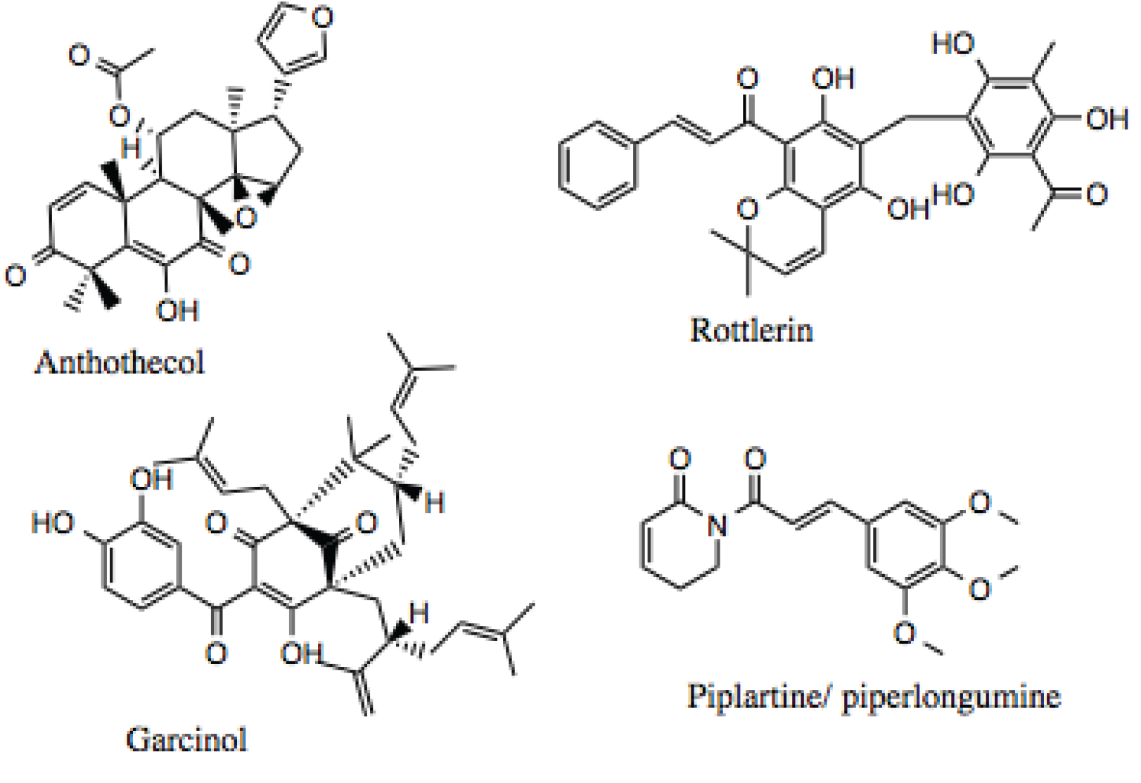 Biology 03 00101 g012