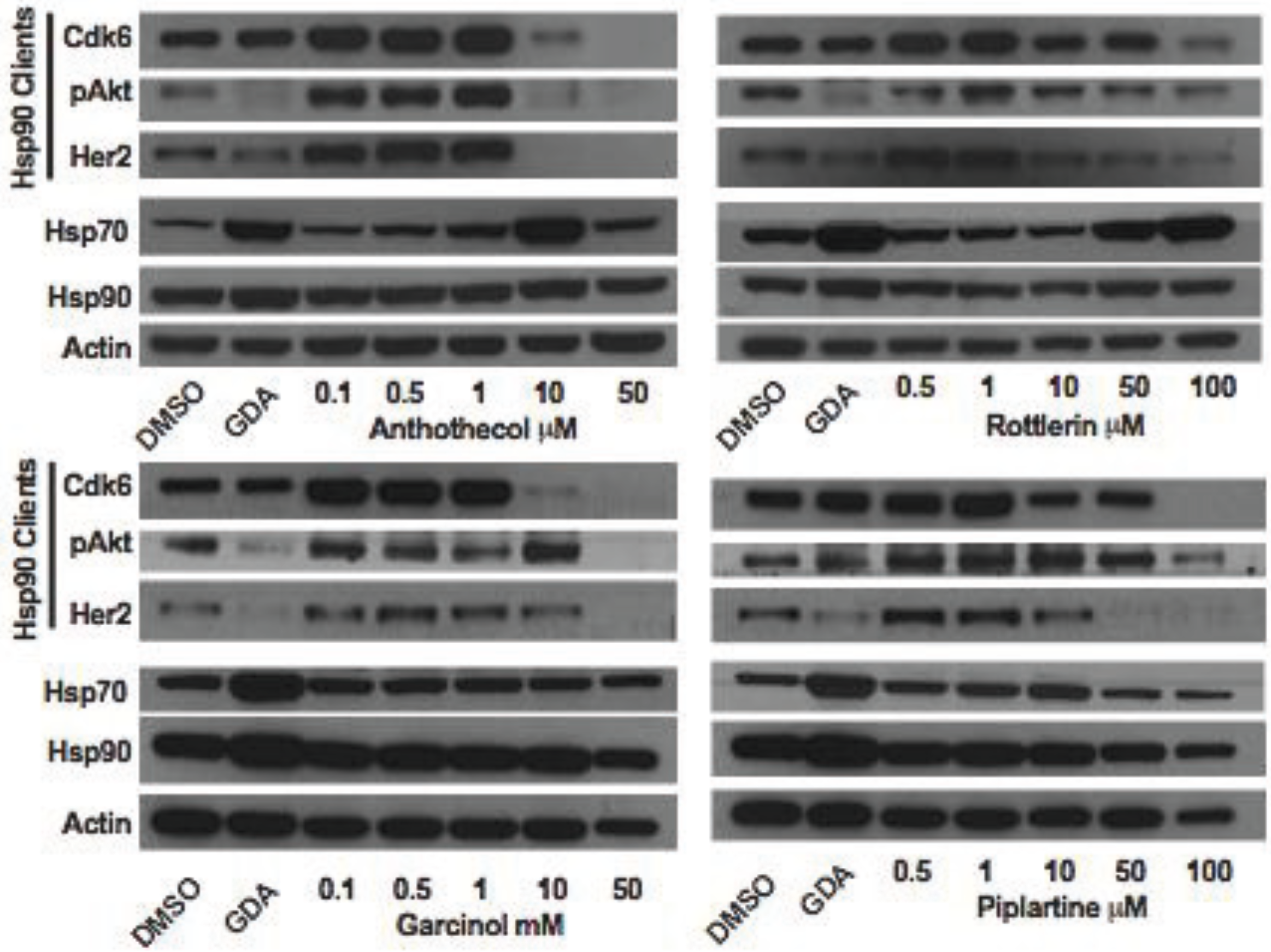 Biology 03 00101 g014