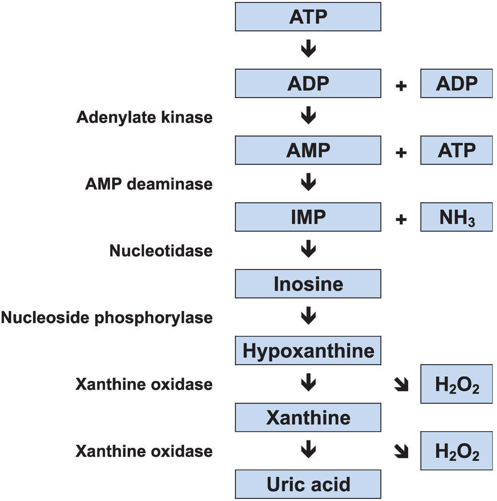 Biology 03 00157 g001 1024
