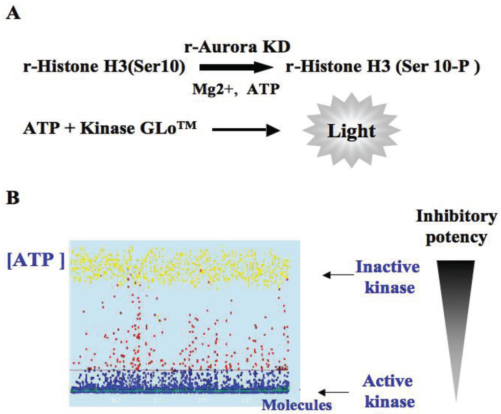 Biology 03 00167 g001 1024