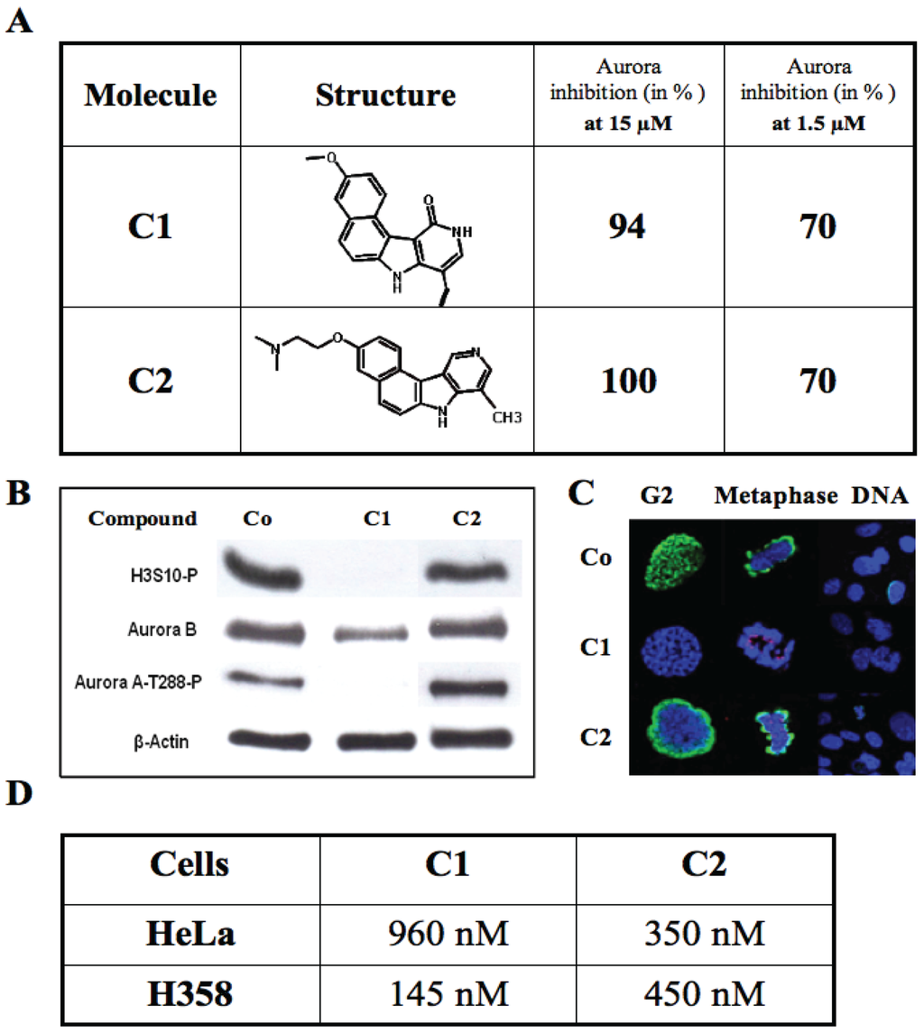 Biology 03 00167 g002 1024