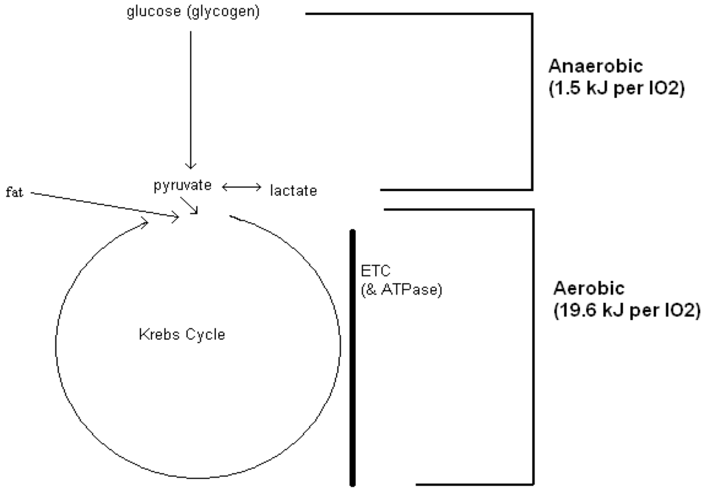 Biology 03 00255 g001 1024