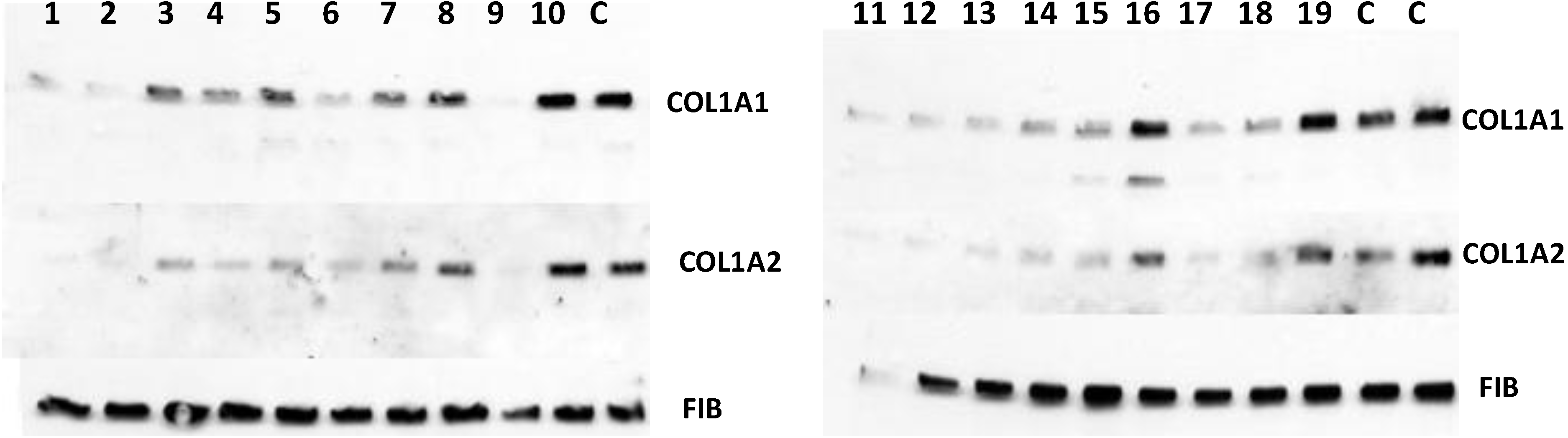 Biology 03 00281 g007
