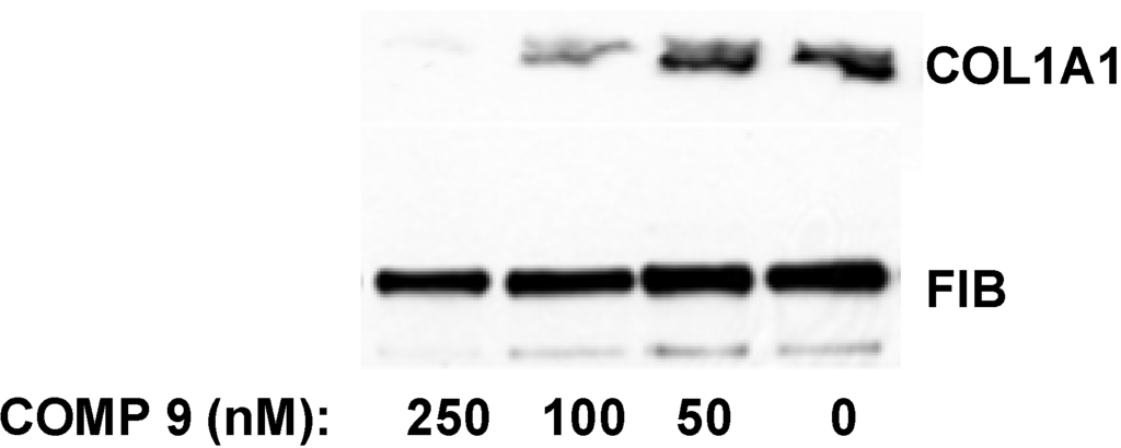Biology 03 00281 g008 1024