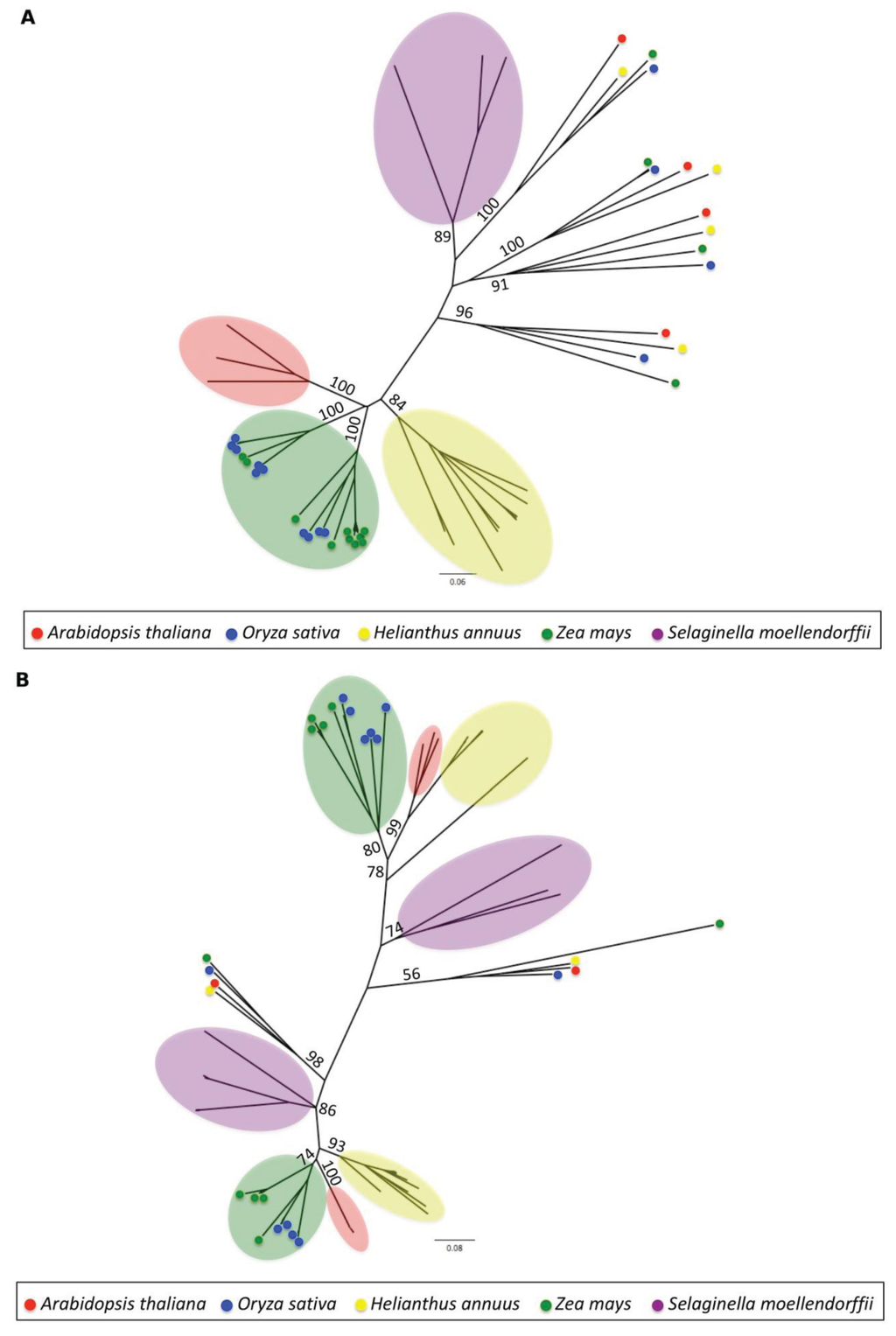 Biology 03 00295 g003 1024