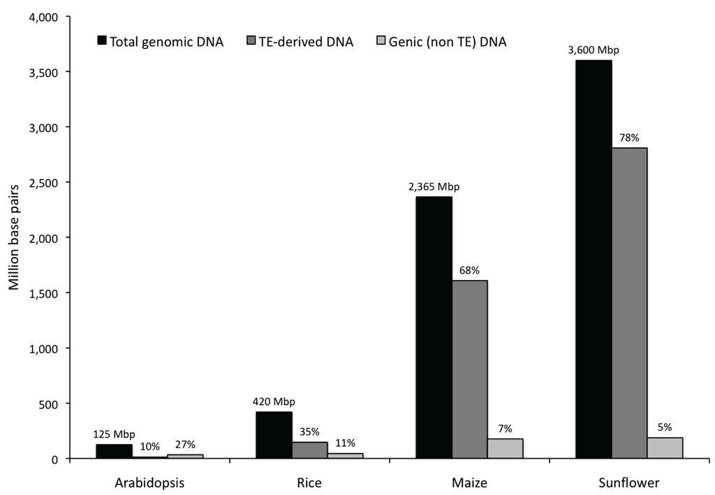 Biology 03 00295 g004 1024