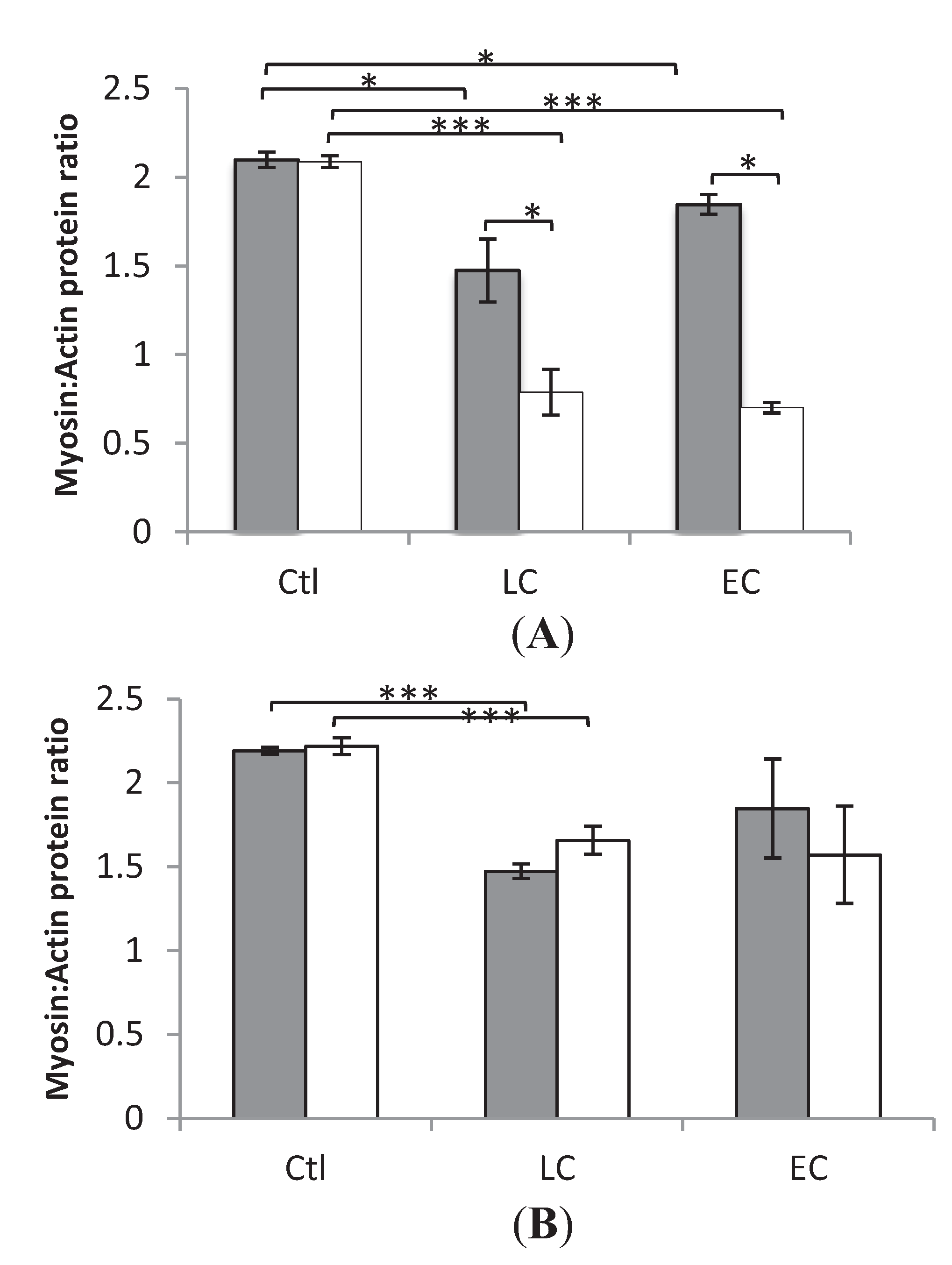 Biology 03 00368 g001