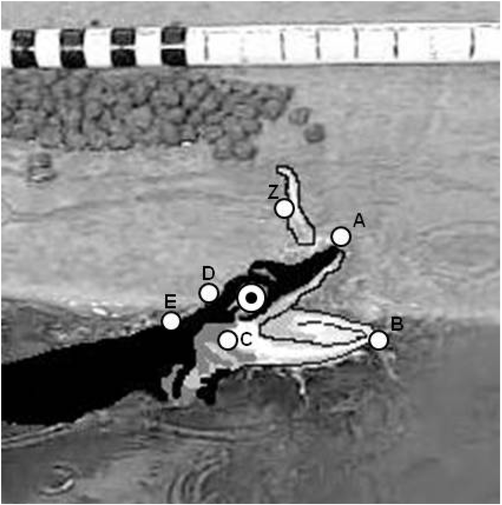 Biology 03 00724 g002 1024