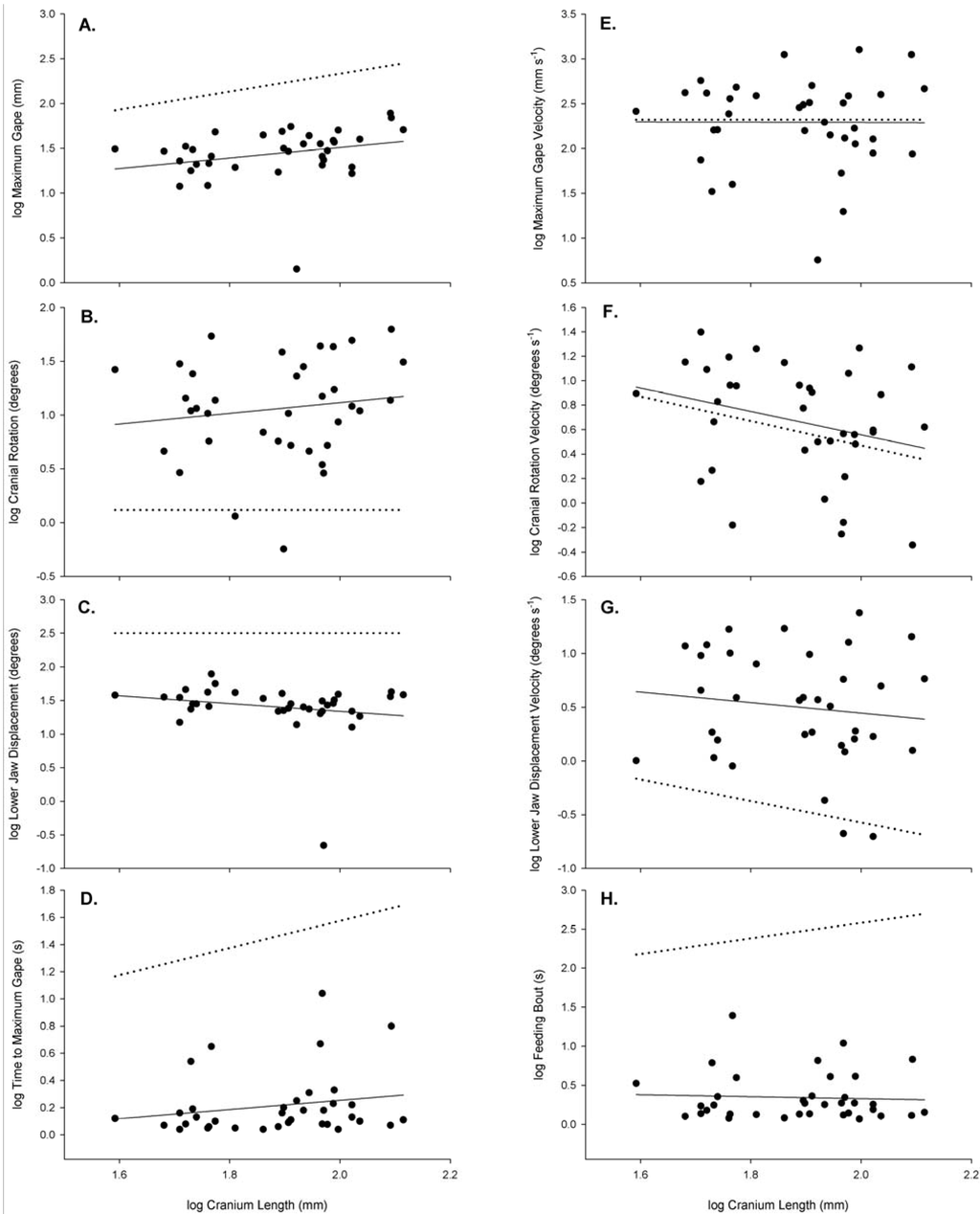 Biology 03 00724 g005 1024