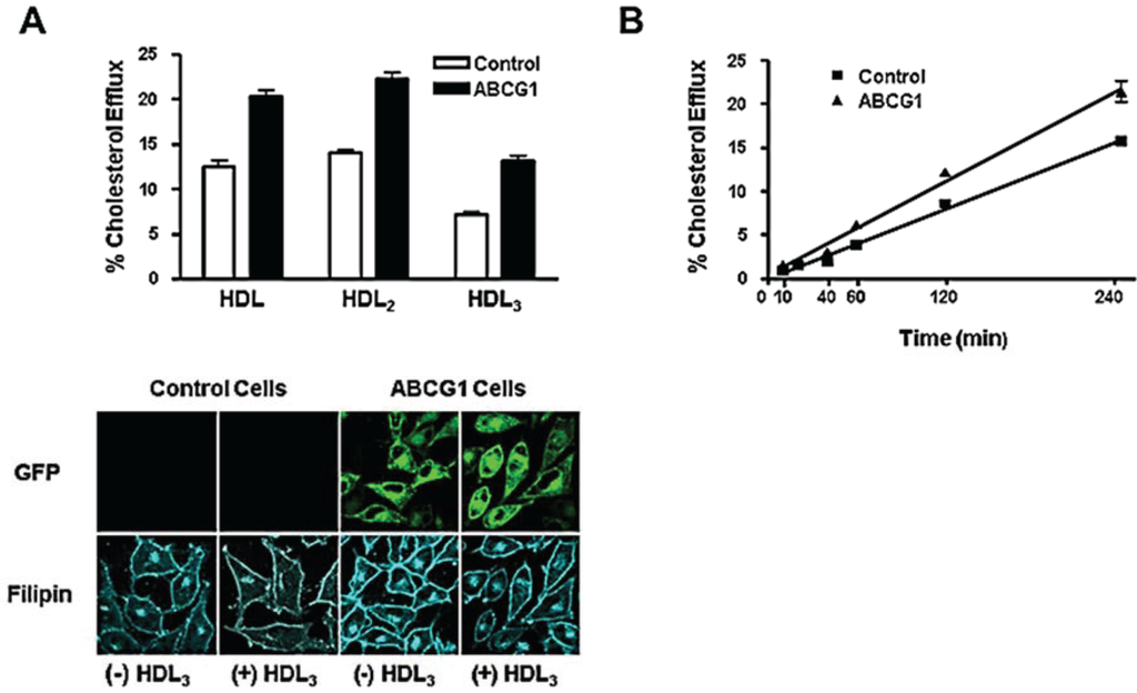 Biology 03 00781 g003 1024