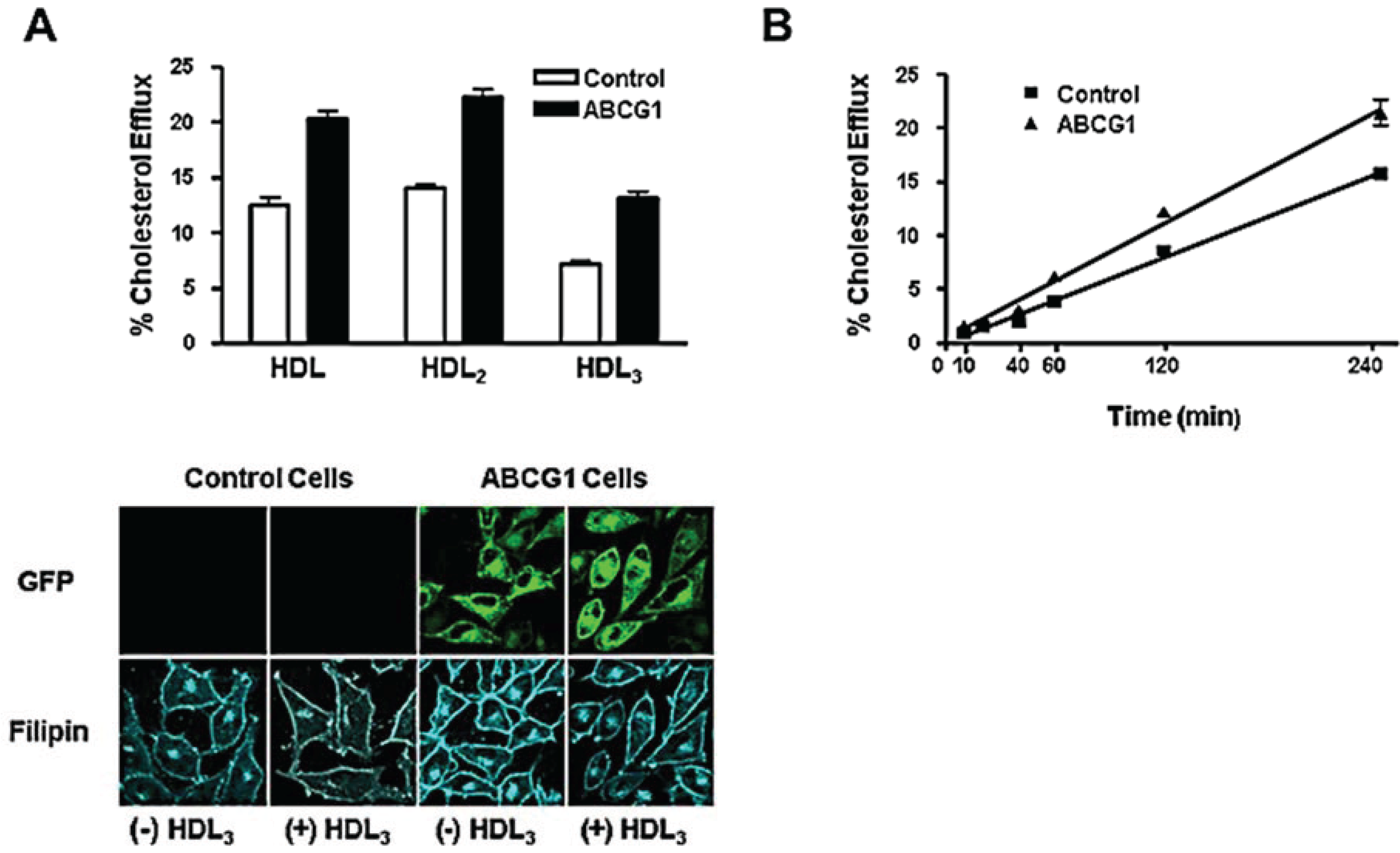 Biology 03 00781 g003