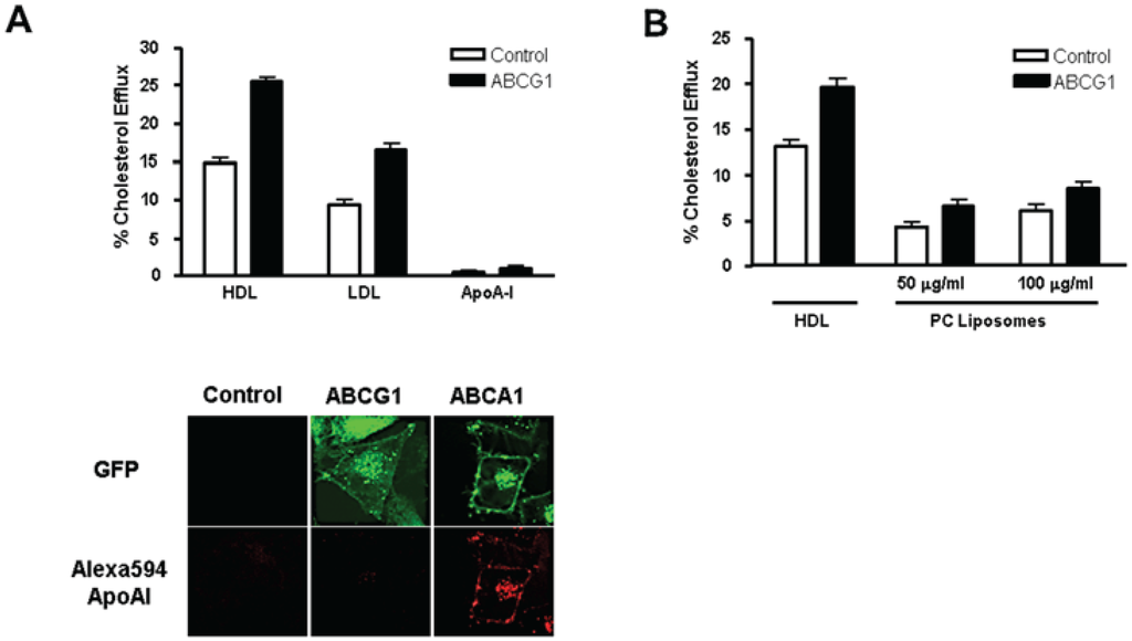Biology 03 00781 g004 1024