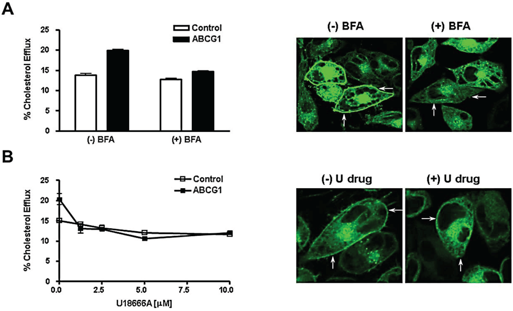 Biology 03 00781 g007 1024