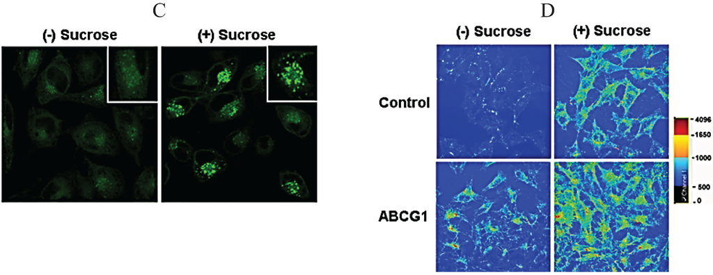 Biology 03 00781 g009b 1024