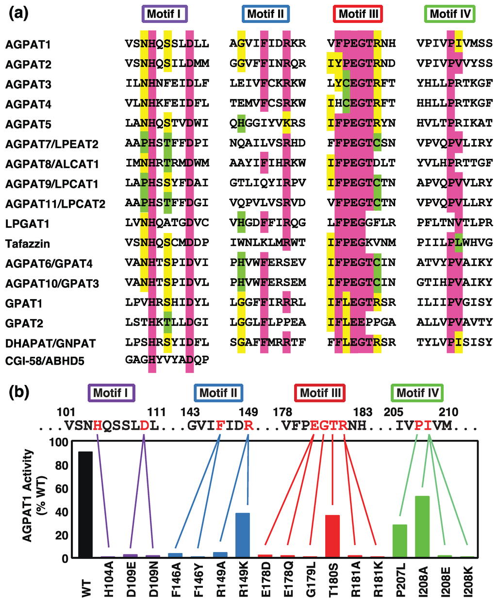 Biology 03 00801 g002 1024