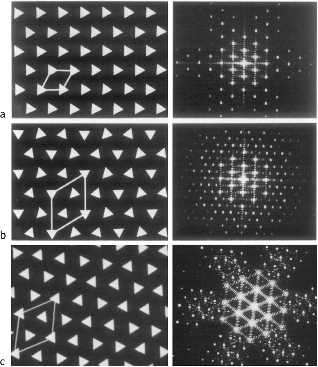 Biology 03 00846 g003 1024