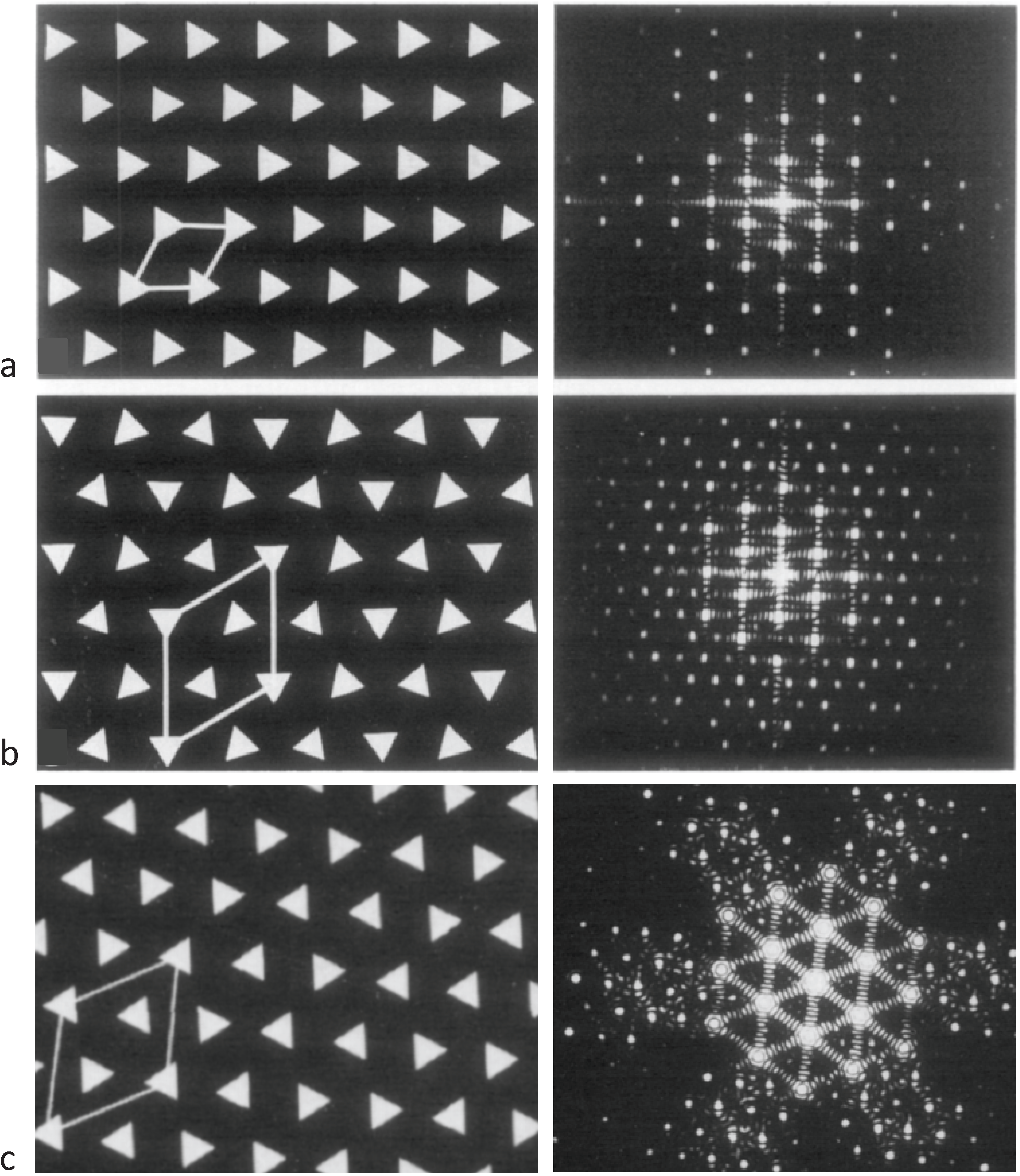 Biology 03 00846 g003