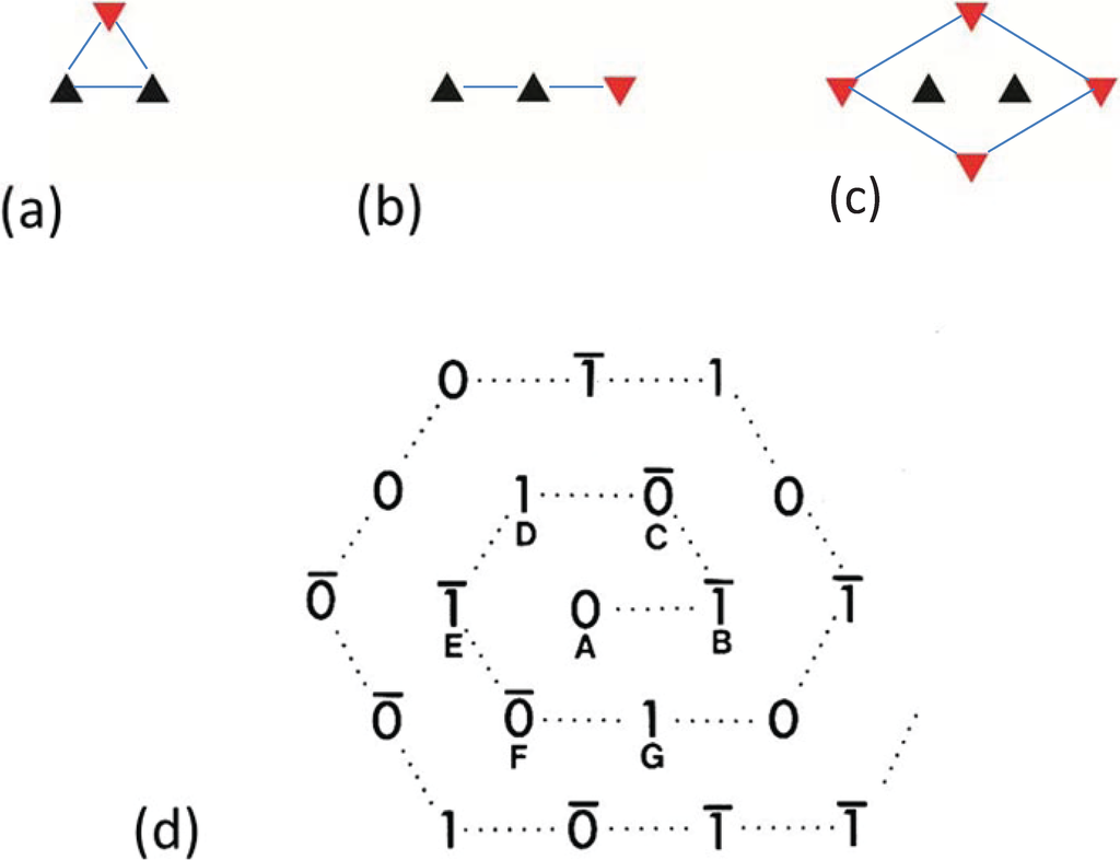 Biology 03 00846 g004 1024