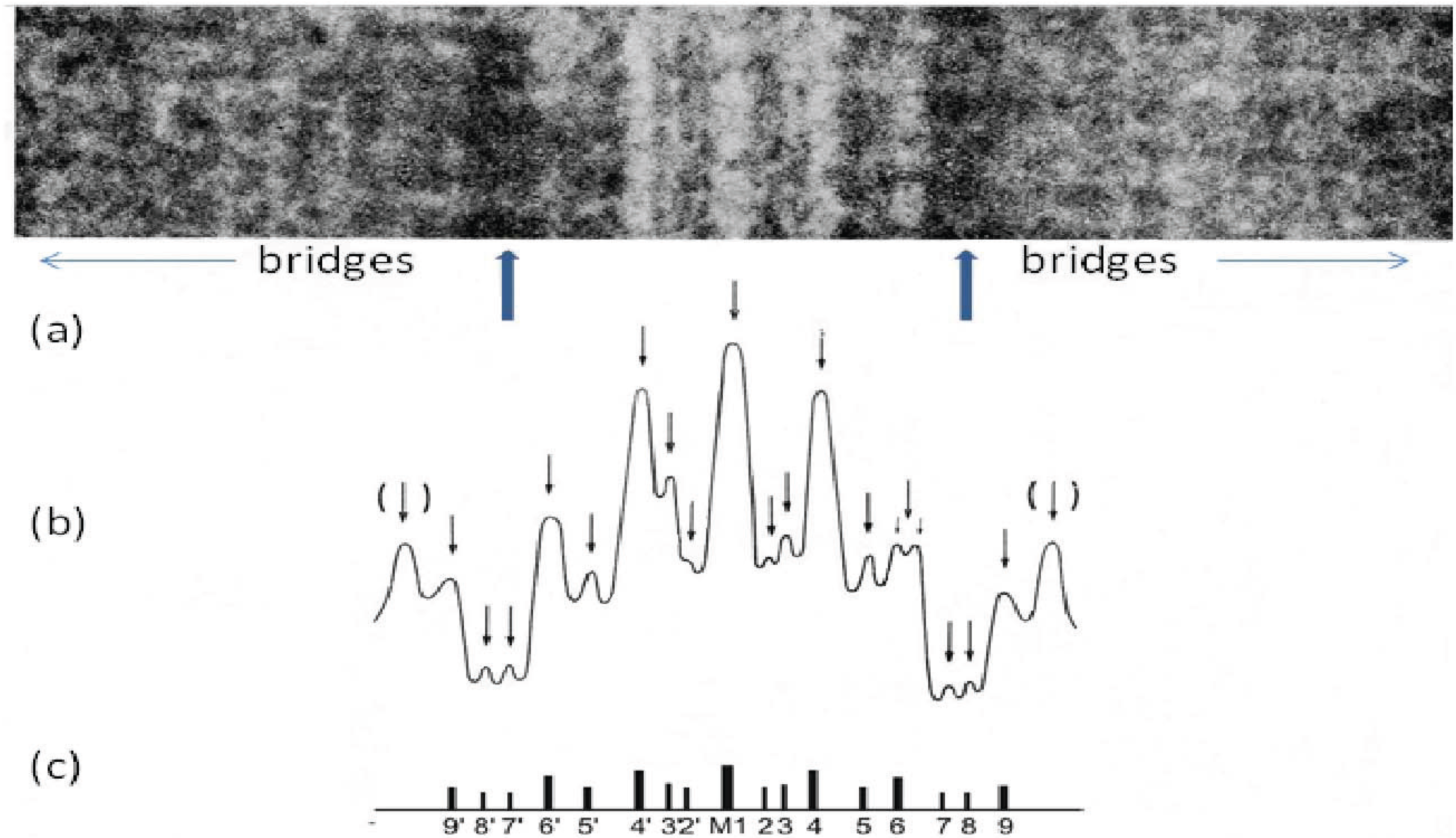 Biology 03 00846 g008