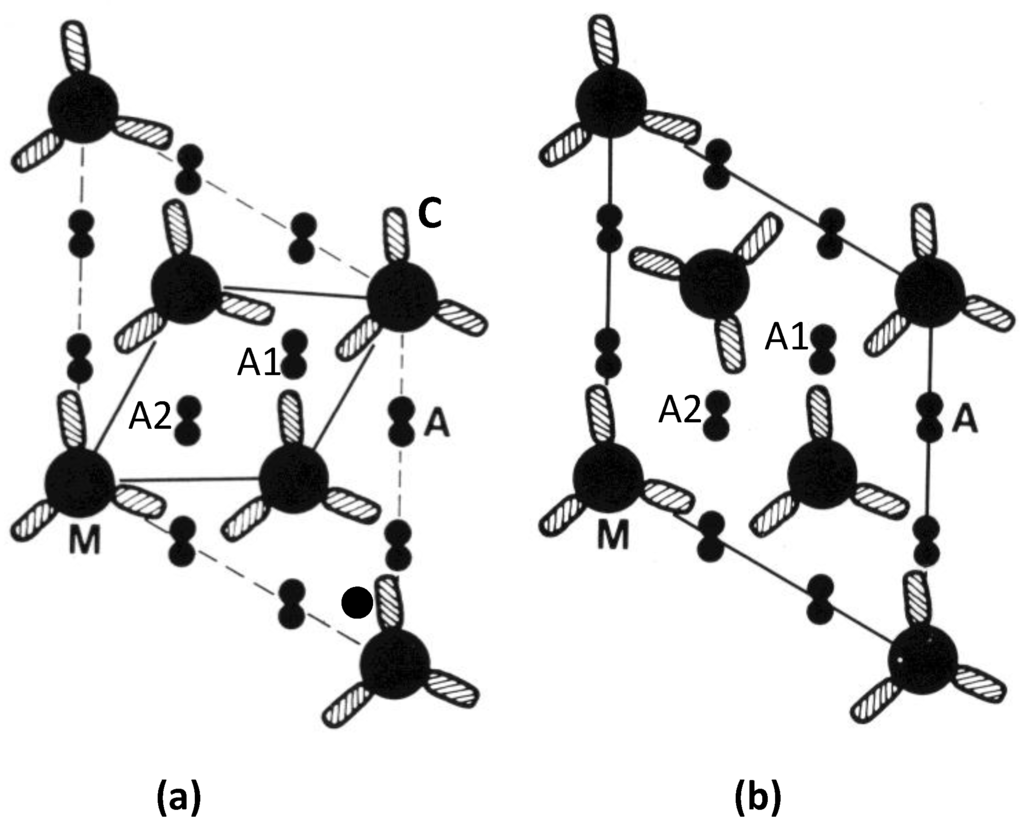 Biology 03 00846 g011 1024